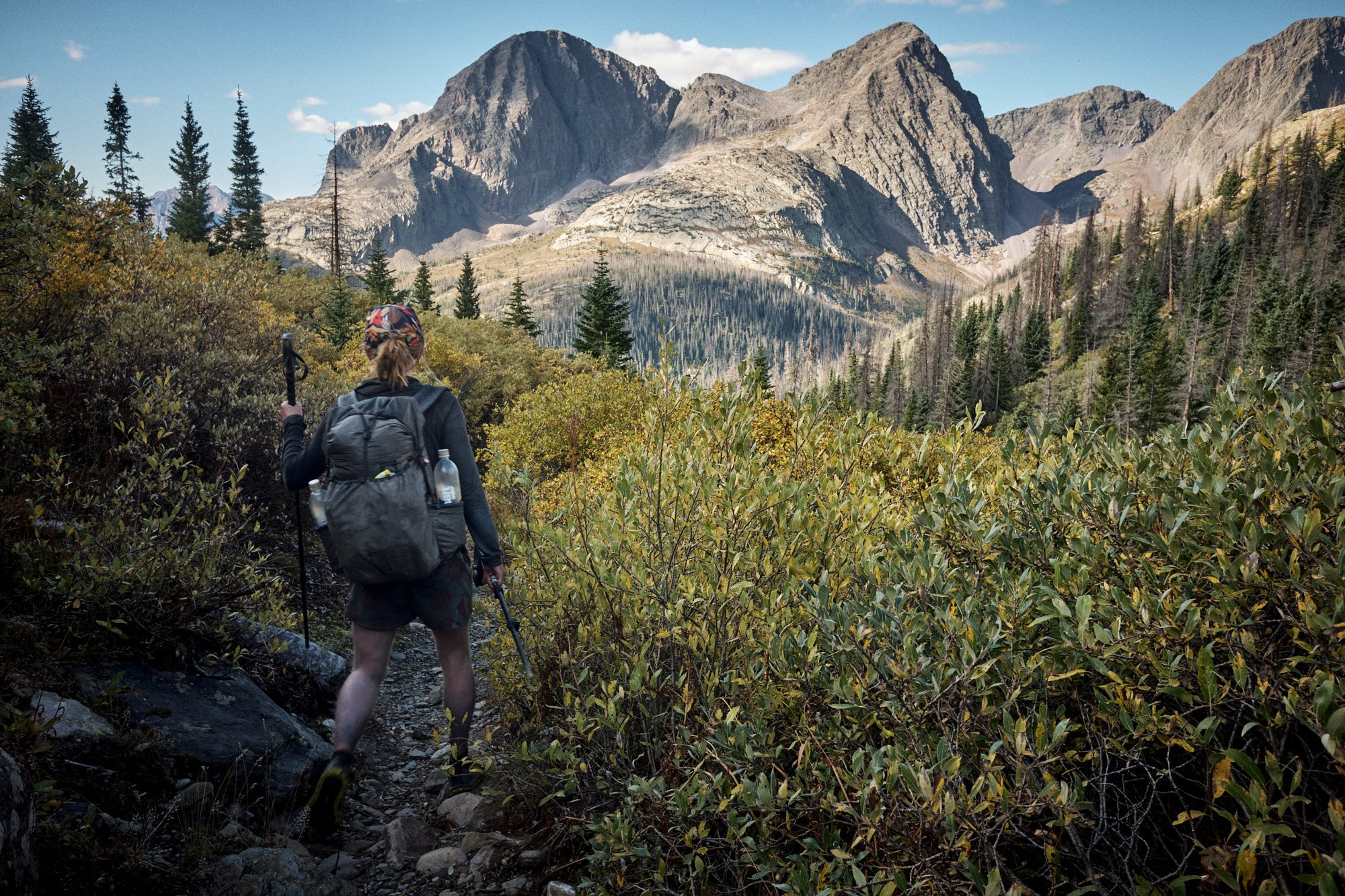 Noisy heads to Nebo Creek after coming over Hunchback Pass. | Weminuche Wilderness, CO 9/19/22 Day 90