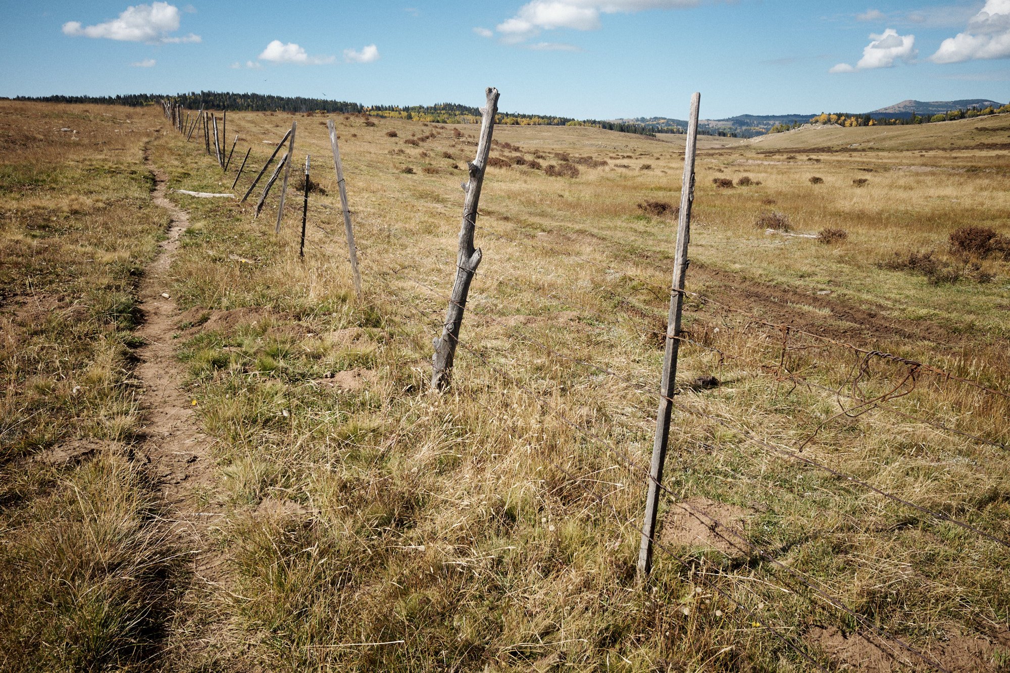  New Mexico, land of the barbed wire fence. | Carson National Forest, NM 9/28/22 Day 99 