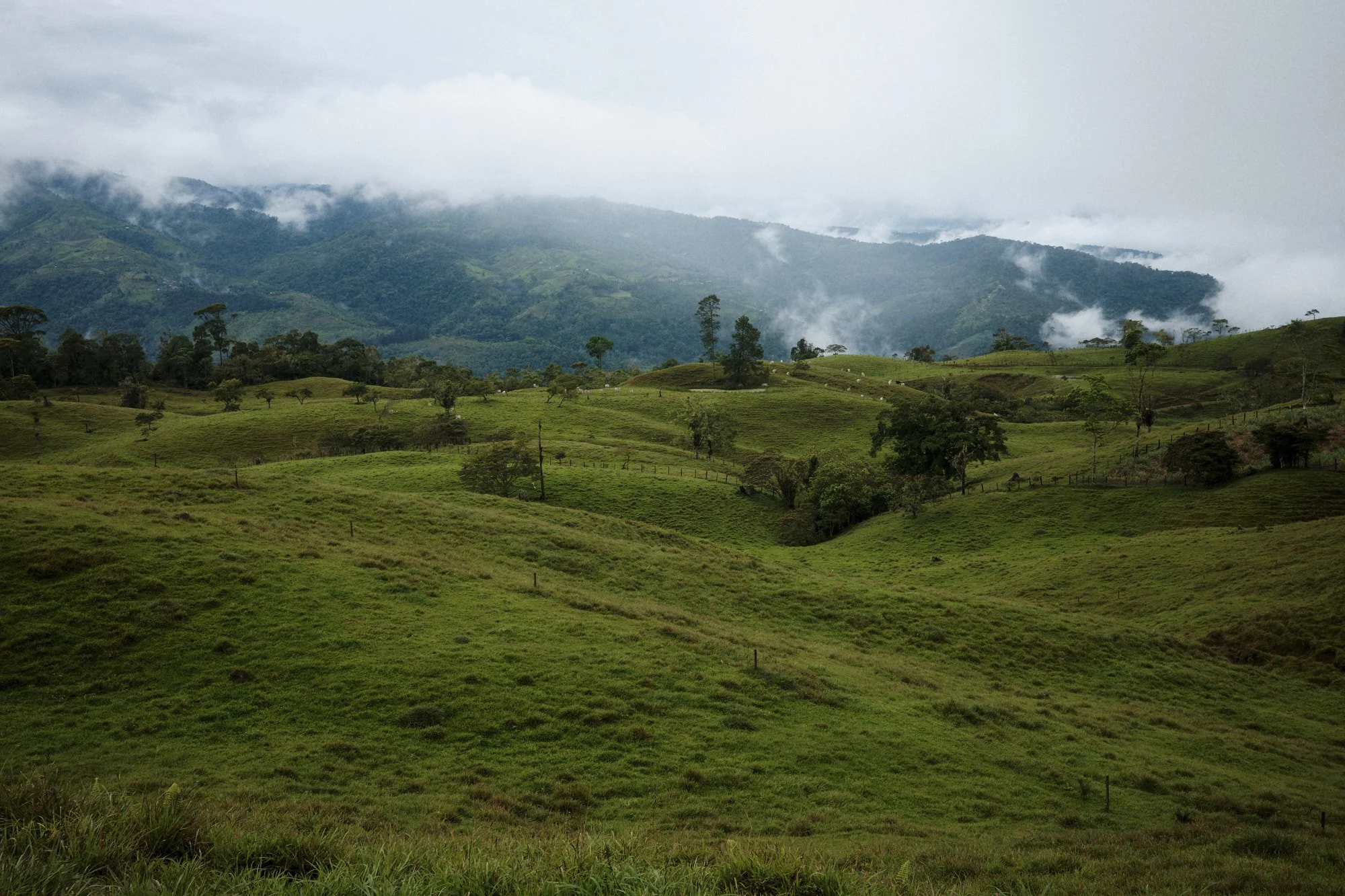 2026_HappySnaps_1266.jpg