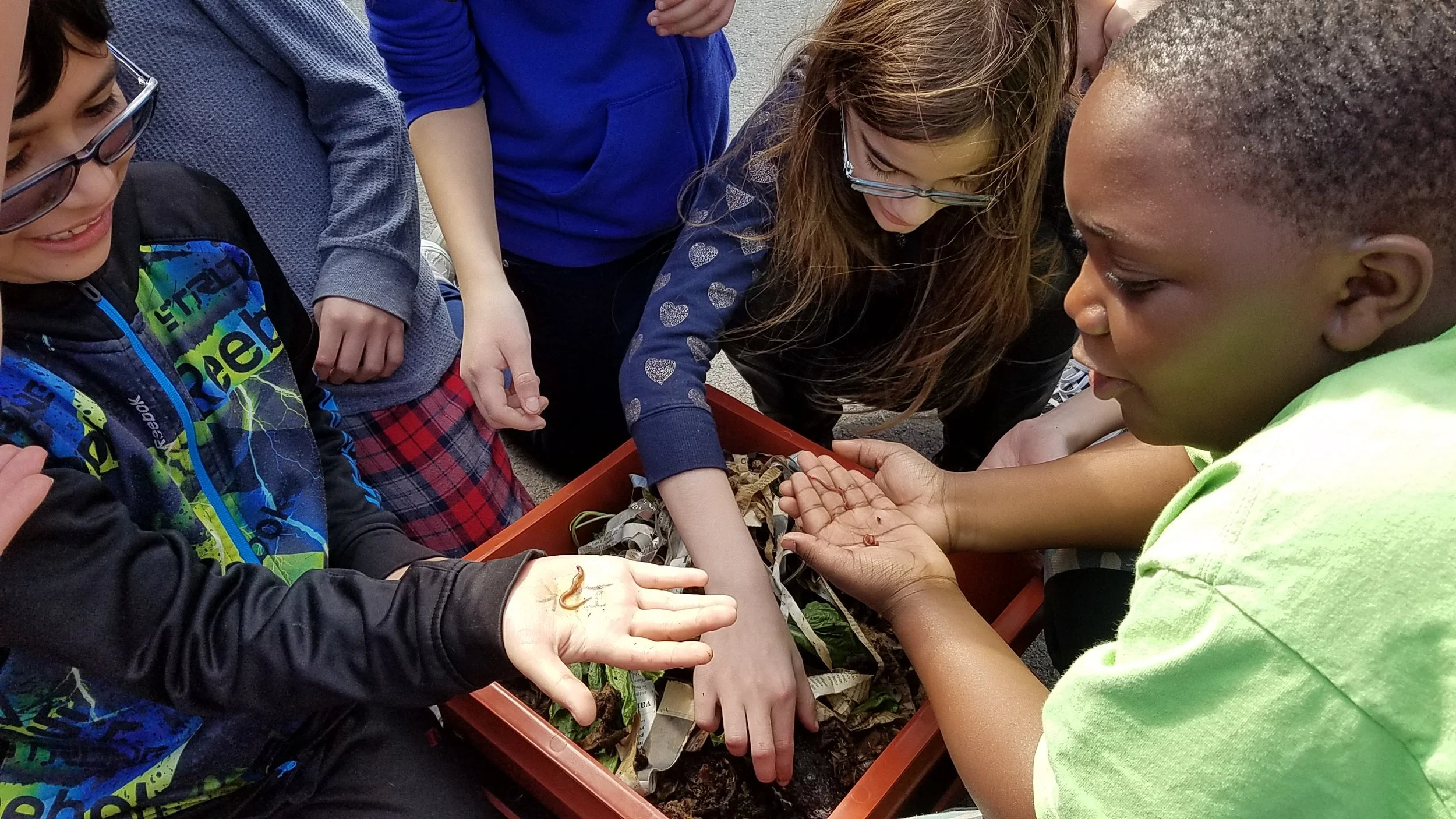 Students at Cordley Elementary get up close and personal with some of the worms that help to compost their lunchroom food waste
