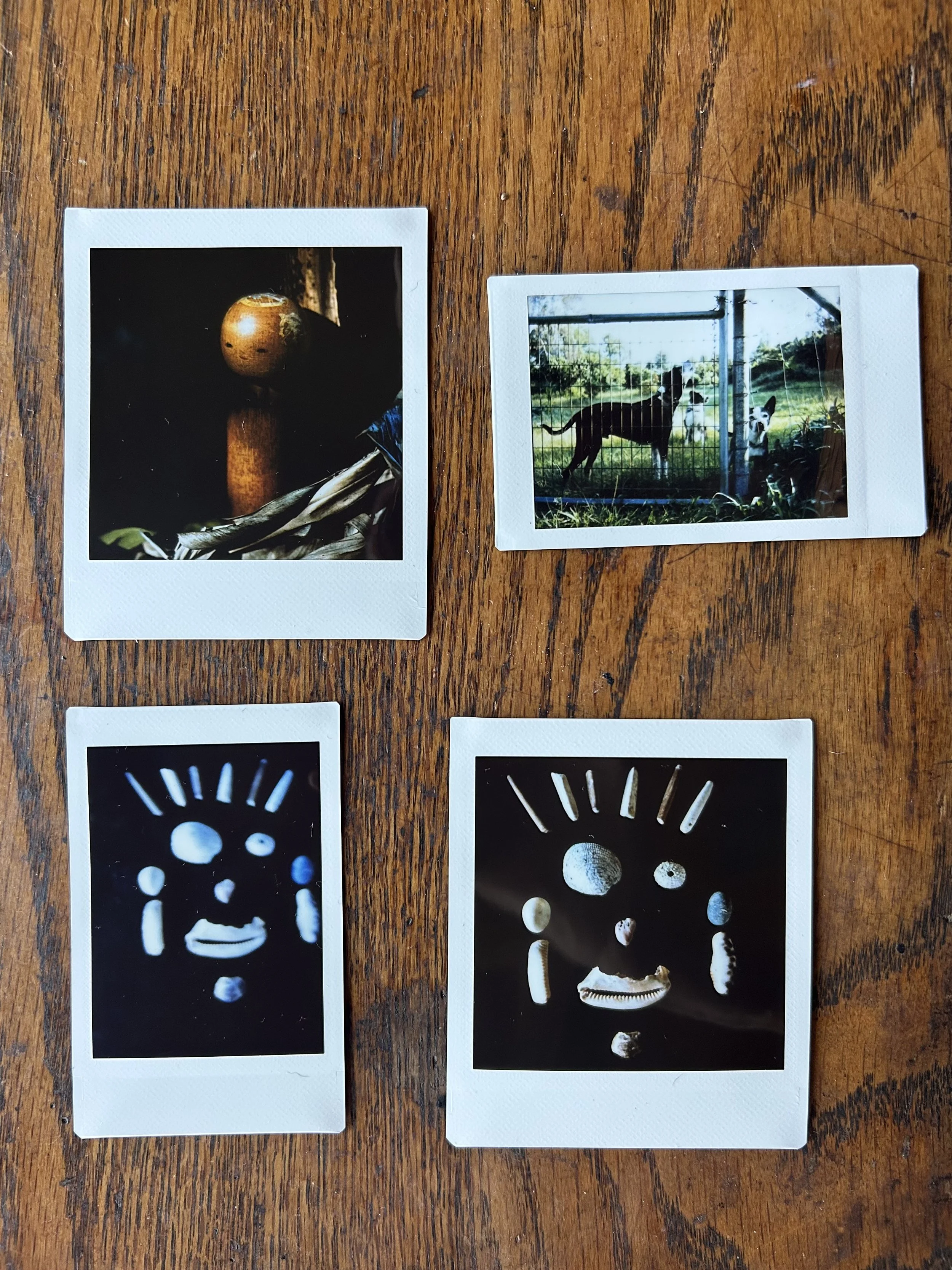 instantpics.jpg
