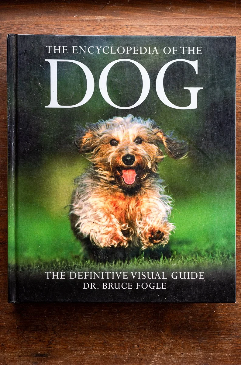 dogs.jpg