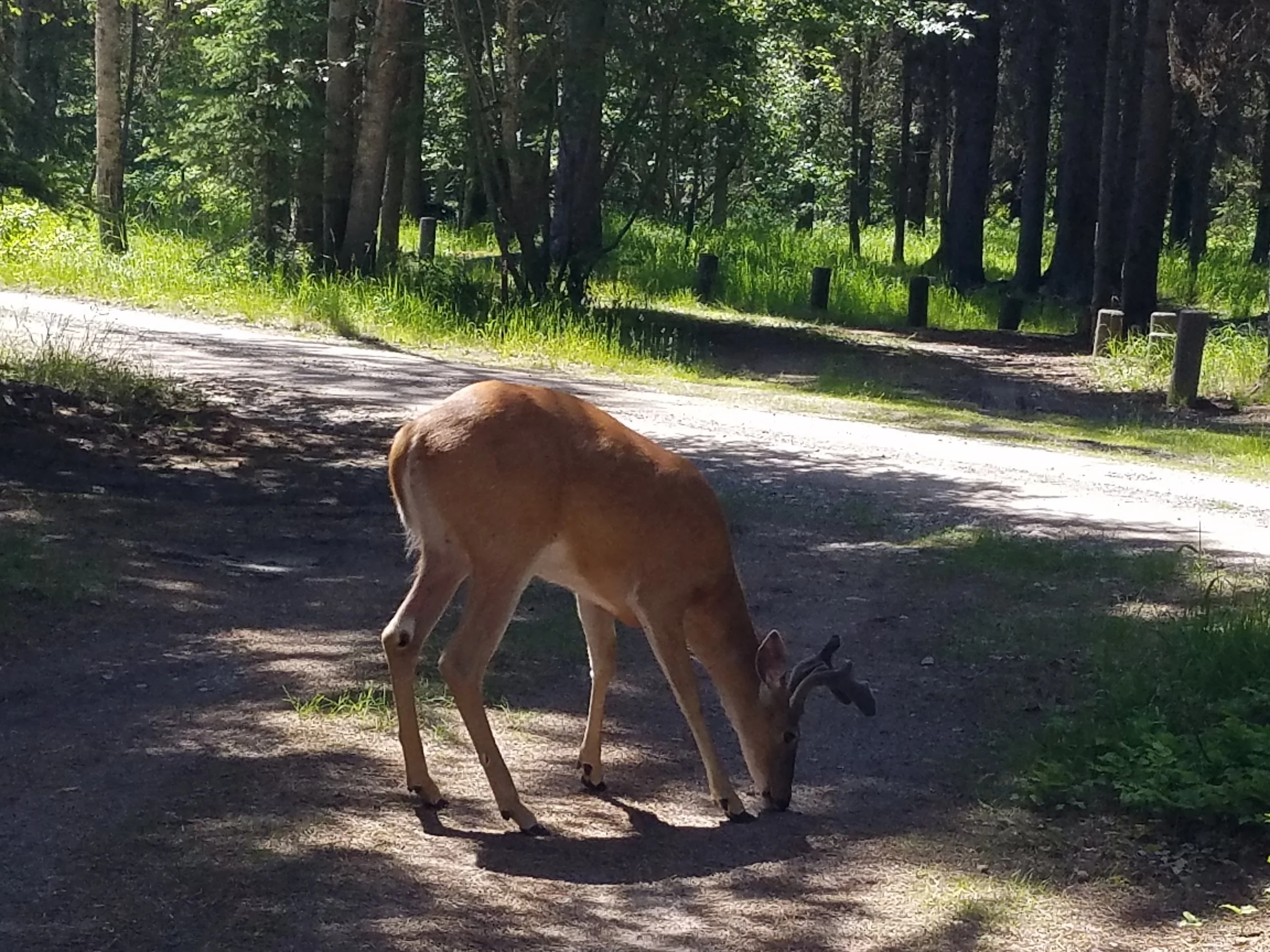 20160628_121053.jpg