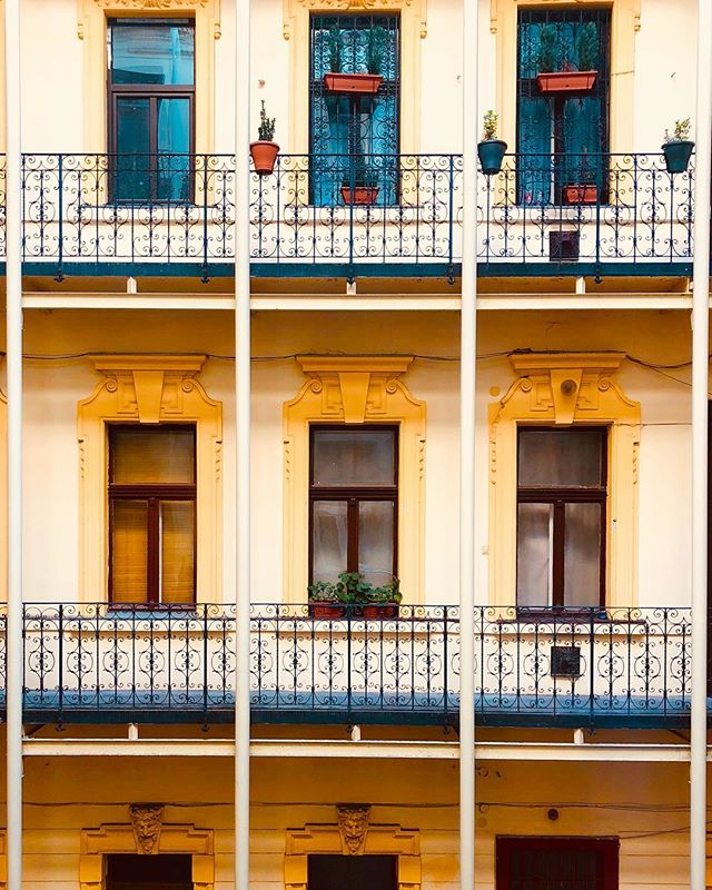 View from my cousin’s apartment in Budapest. Feel like I’m in a Wes Anderson movie. #Budapest #architecture #aesthetics @accidentallywesanderson