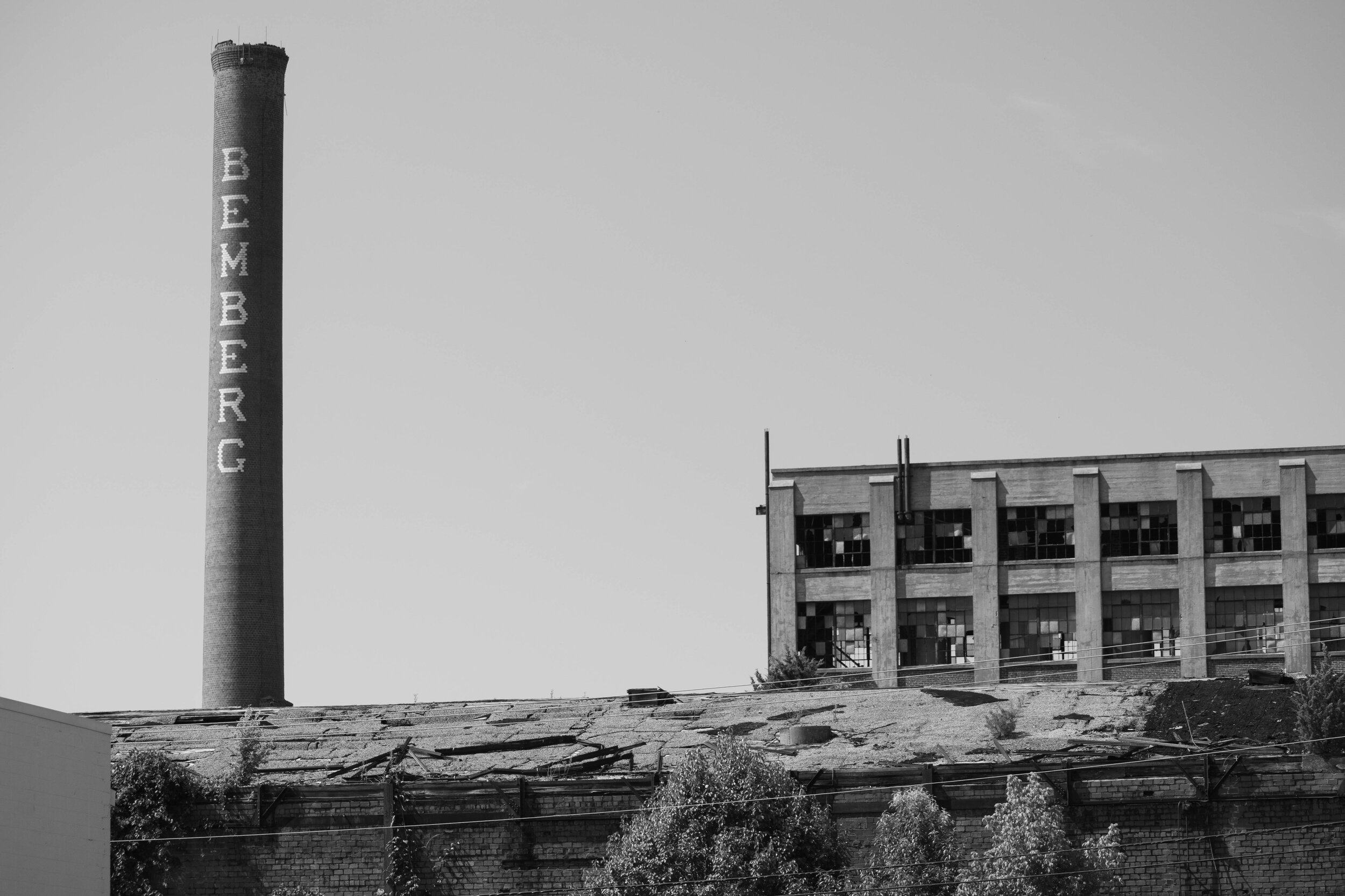 DSC_6631.jpg