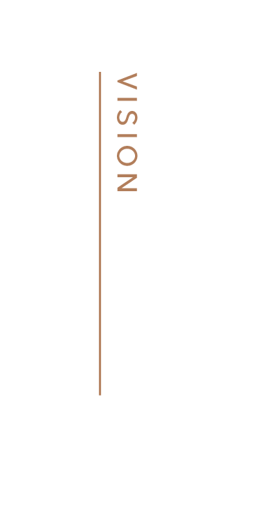 Q VISION.png