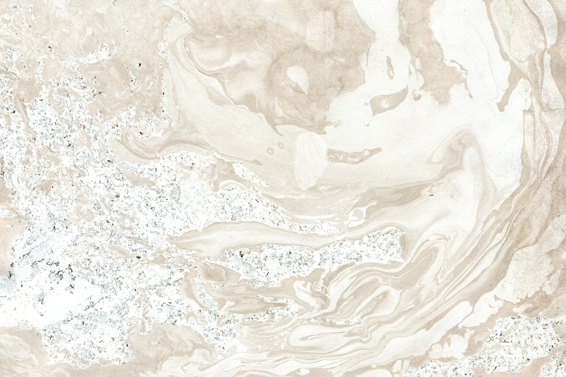 Header 1.jpg