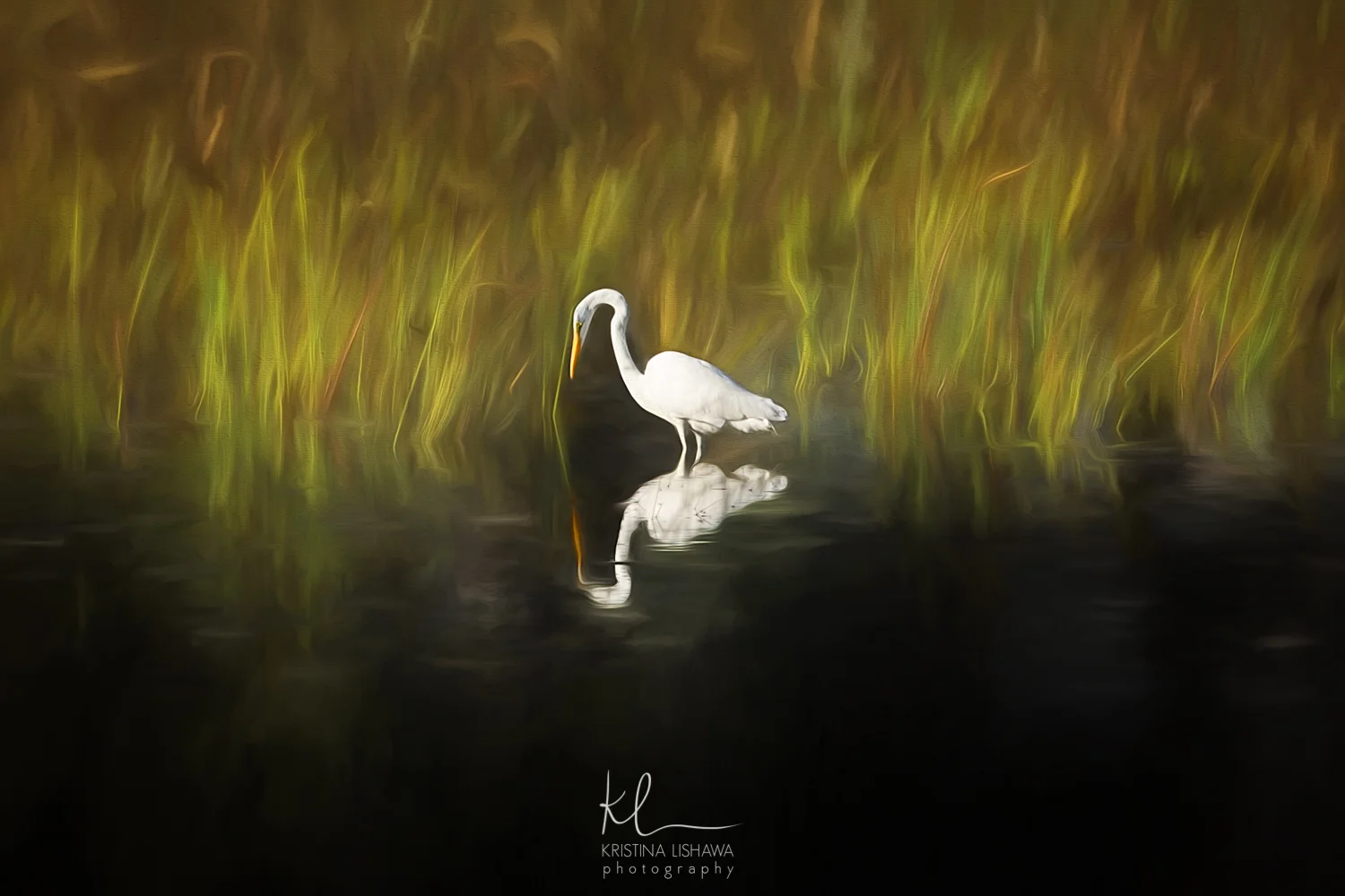 Great Egret