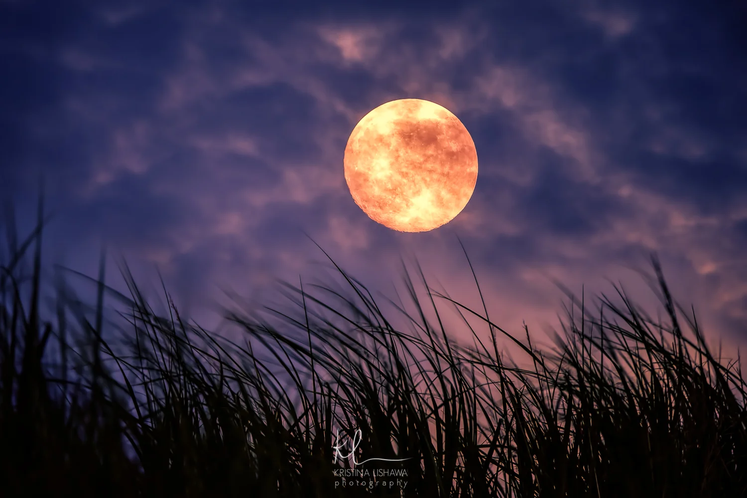 Strawberry Moon over Sleeping Bear Dunes