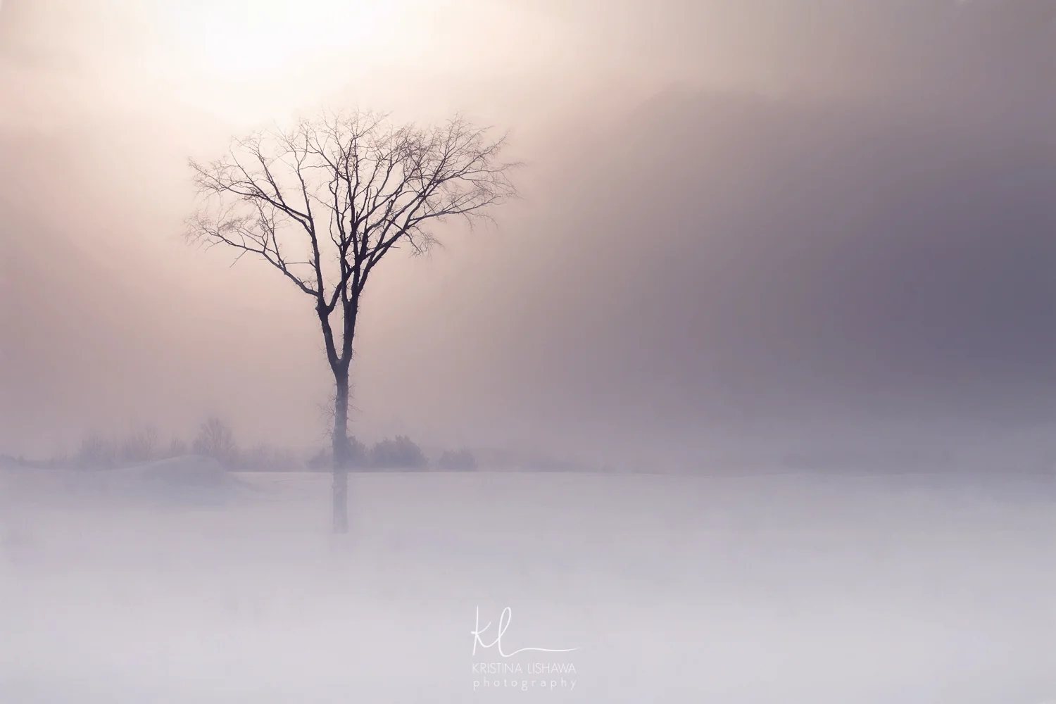 Solitude