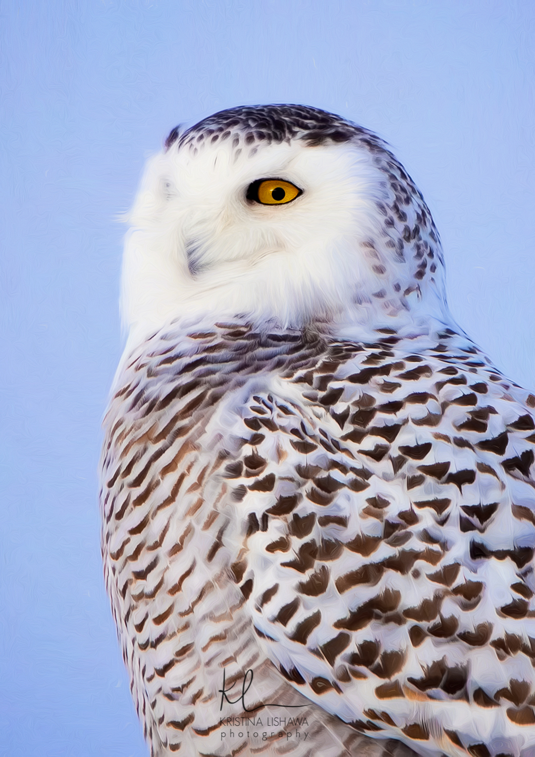Snowy Gal