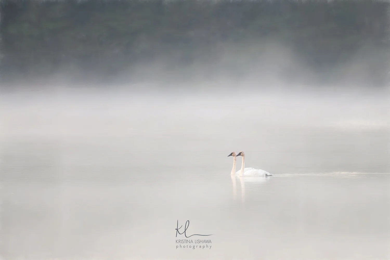 Tranquility