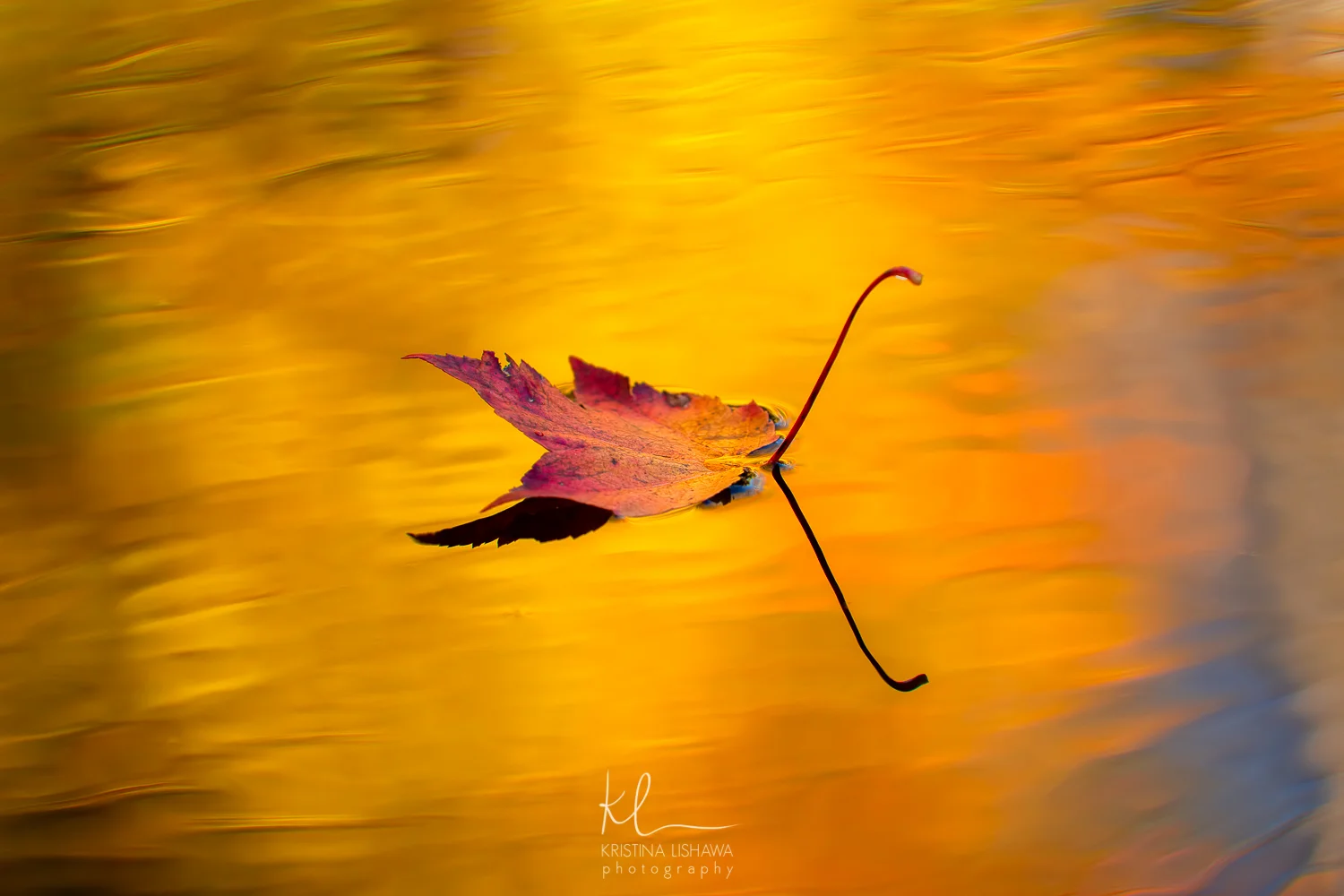 Leaf Swan