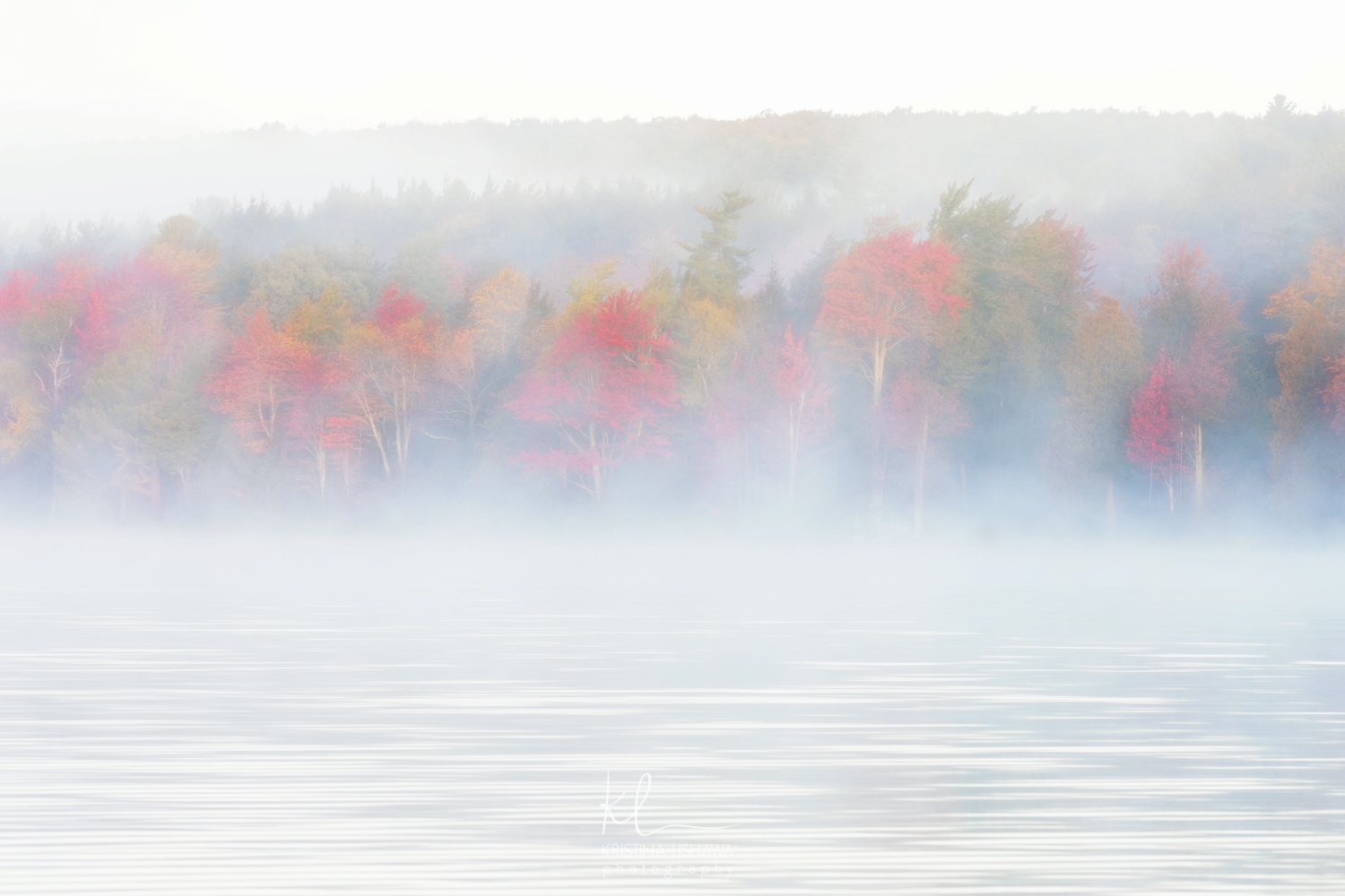 AF4I7275-Edit-Edit.jpg