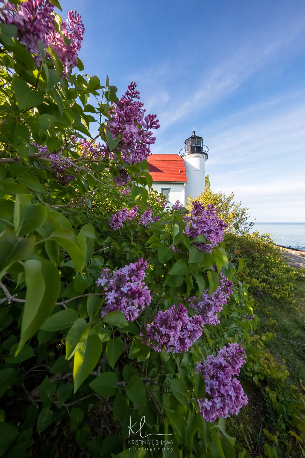Betsie in Purple.jpg