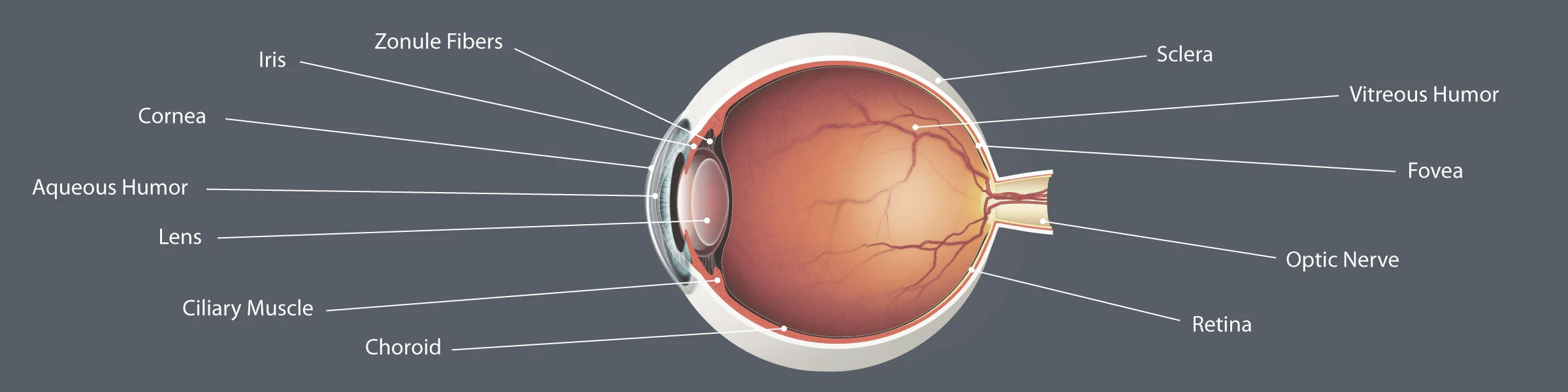 eye-diagram.jpg