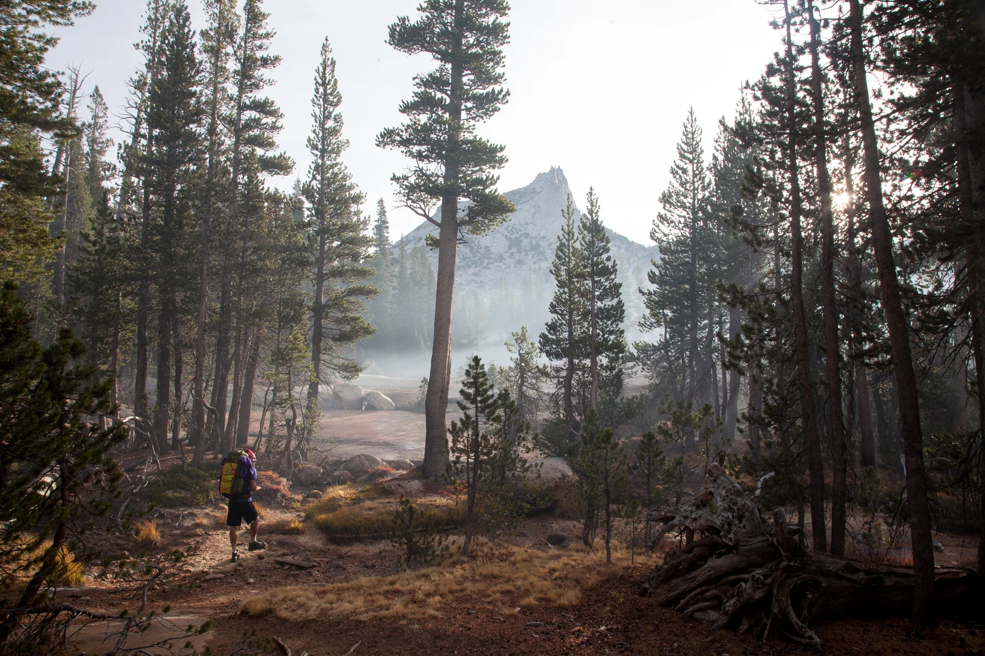 2015.10.07-Yosemite (14 of 21).jpg