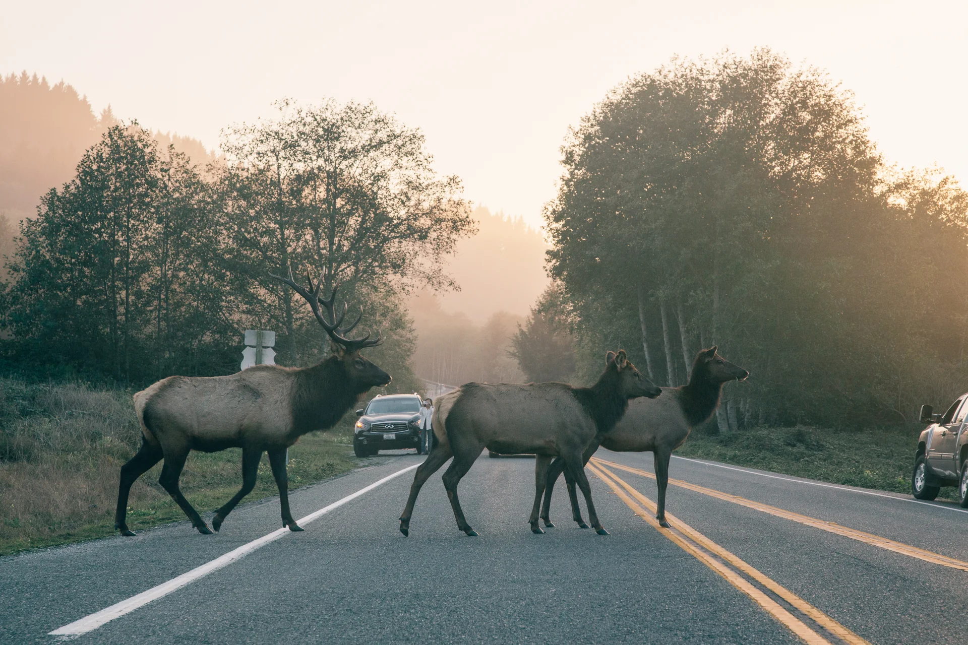 2015.10.19-Road_Trip (12 of 62).jpg