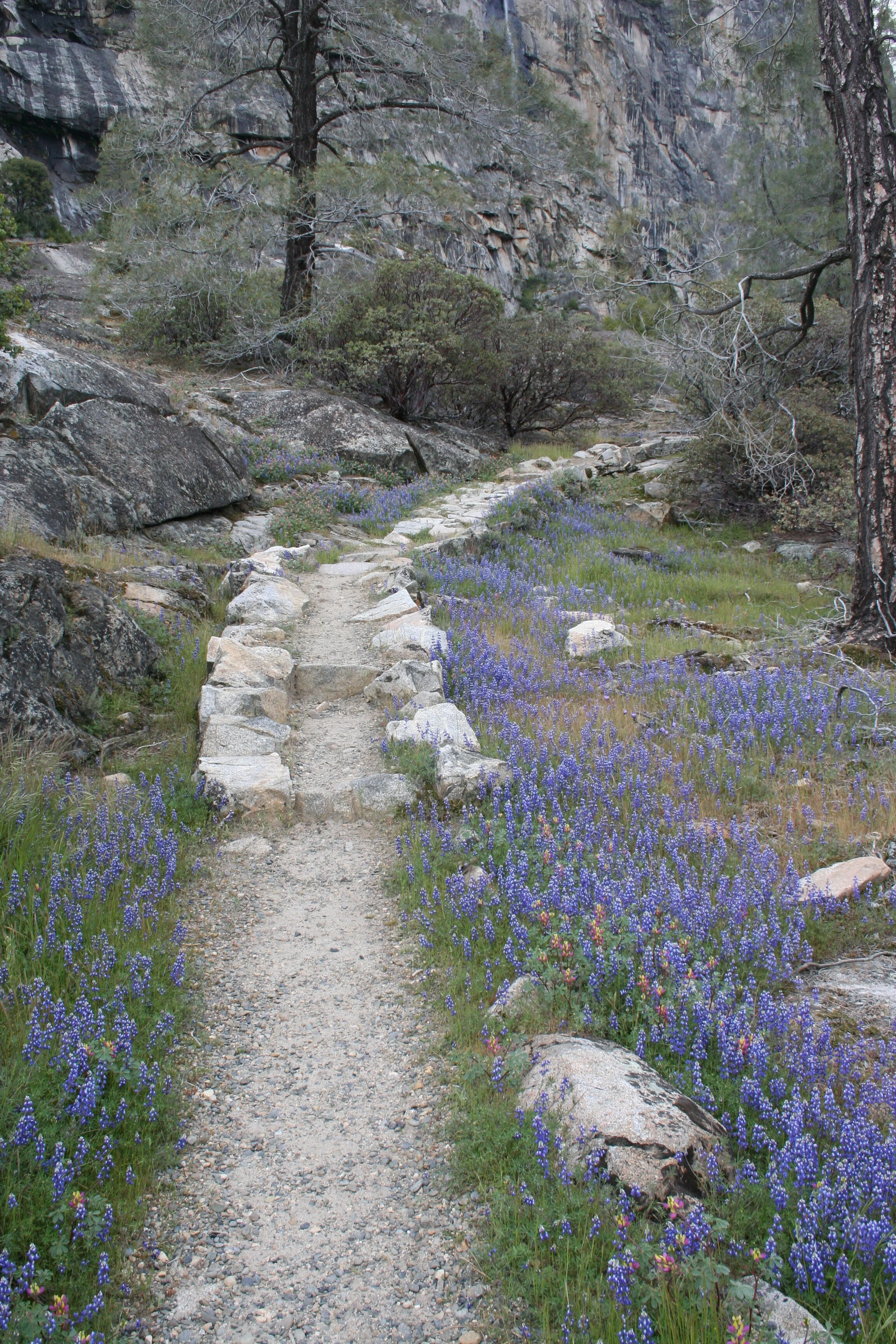 Acceptance and Commitment Therapy