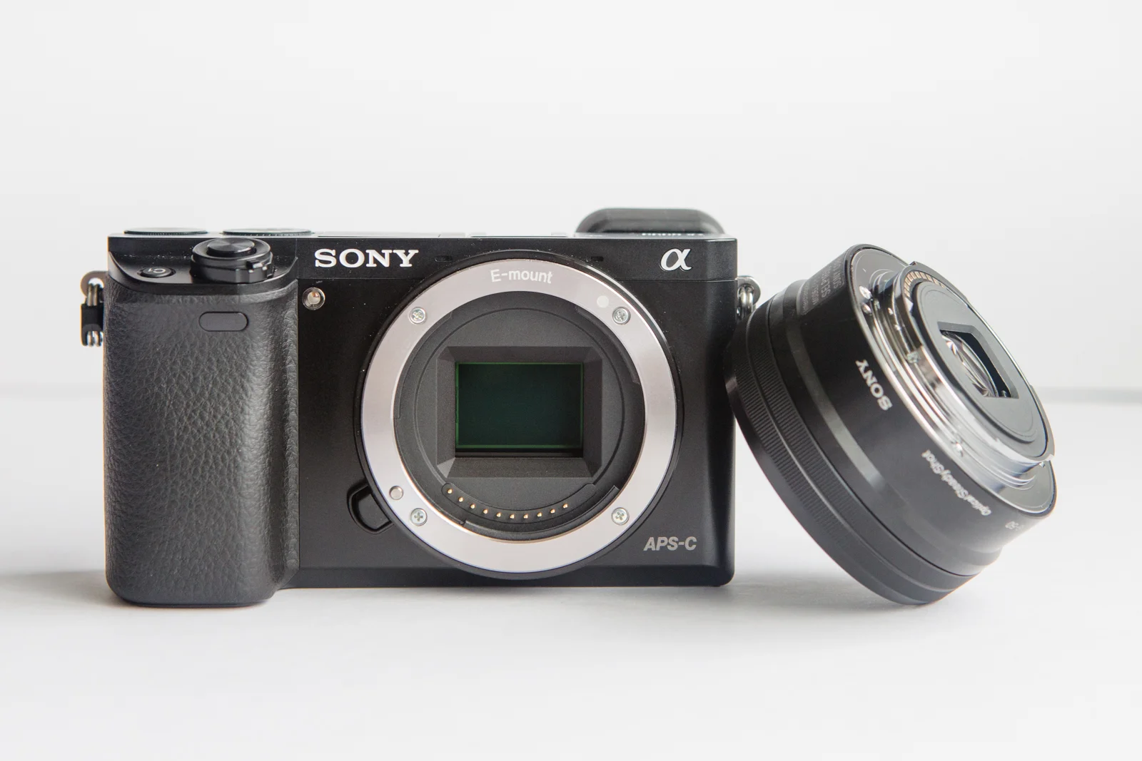 Sepialine_Sony-16.jpg