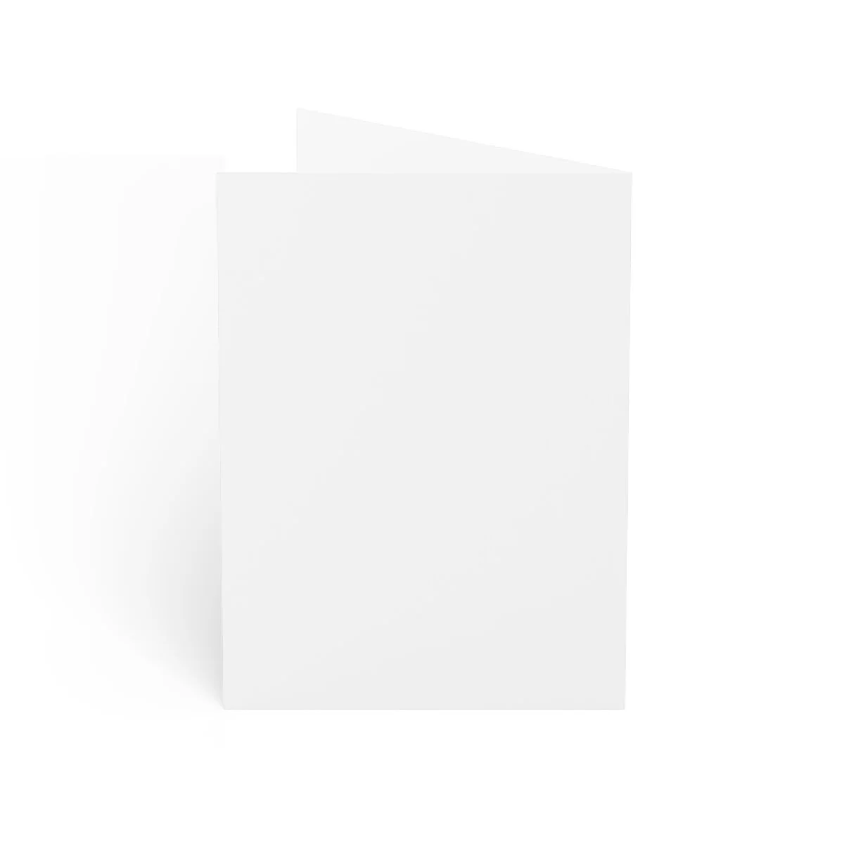 c55d961b1b405a86584a94be2fdead0c