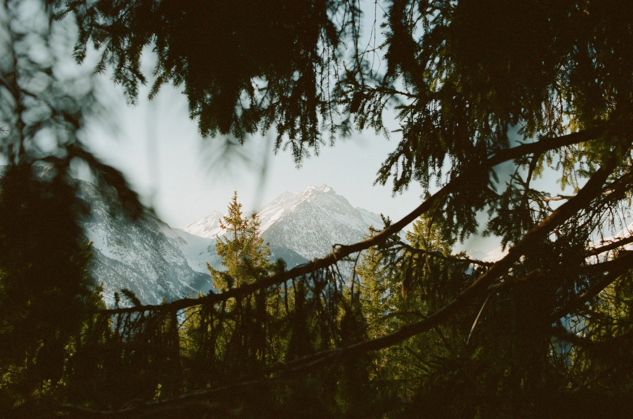 unsplash-image-0m_TcZKKgz4.jpg