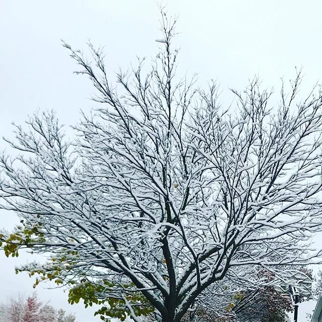 Hey Siri, remind me how pretty snow can be when I&rsquo;m outside and cursing winter while shoveling my driveway.