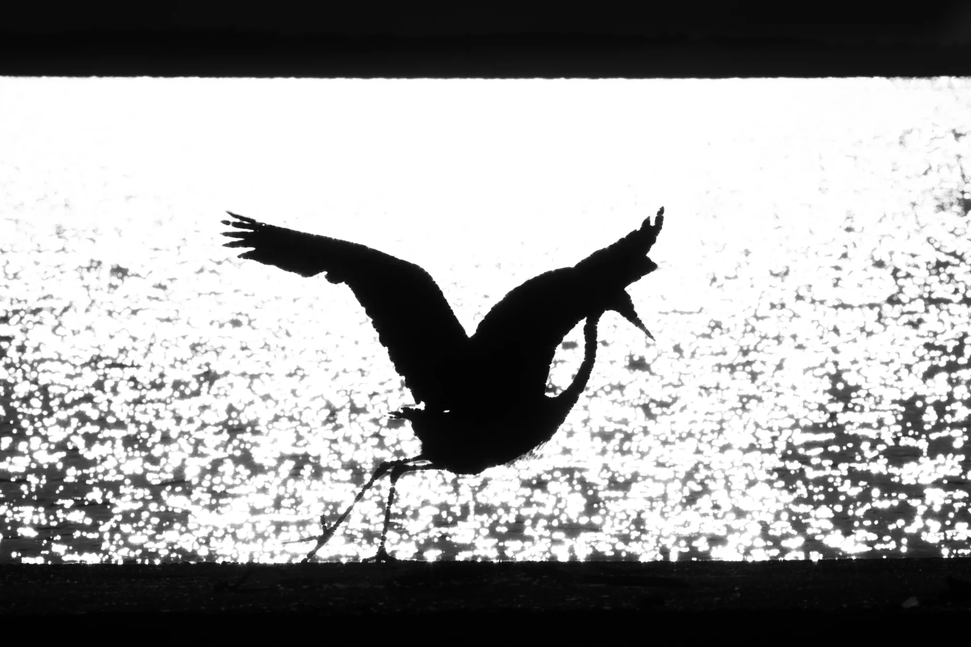 190506_1stBathAH_01031.jpg