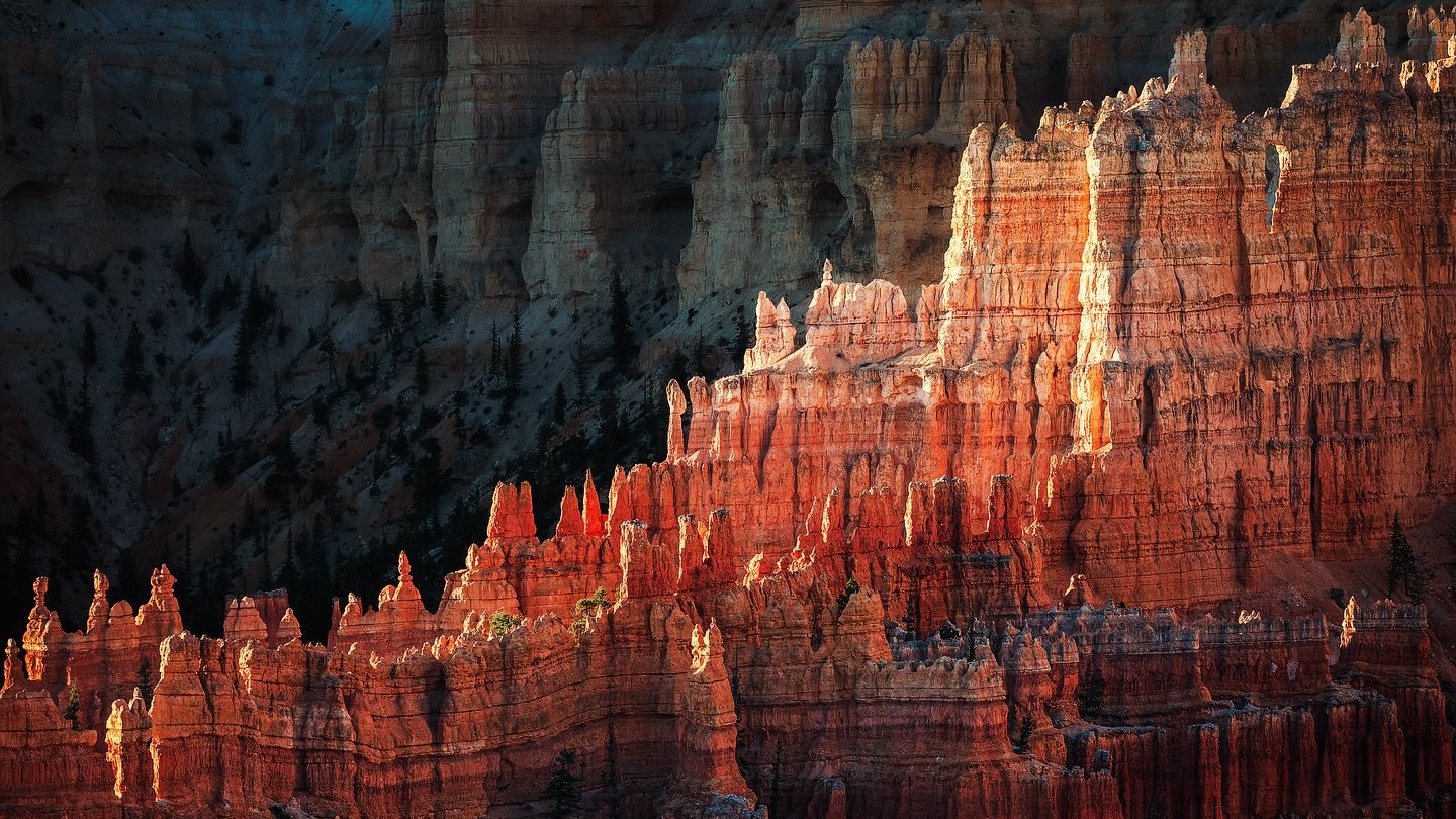 &ldquo;A little magic can take you a long way.&rdquo;
- Roald Dahl
___________
___________