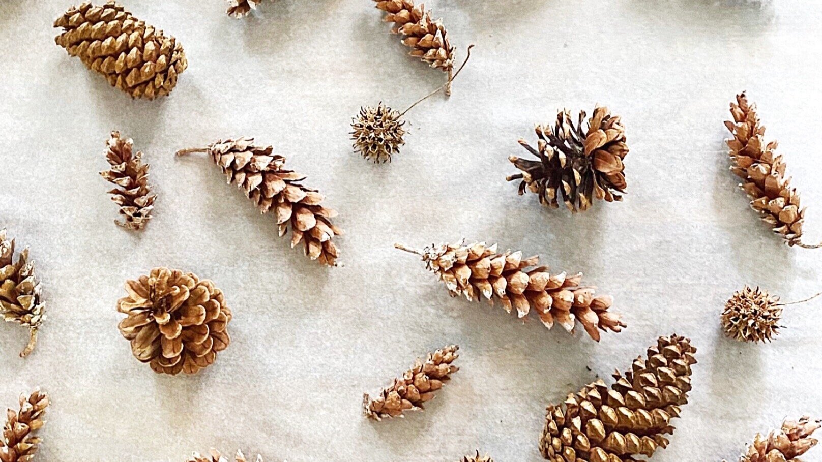Preserved Pinecones, DIY and Sparkle! — Atelier Ashley Flowers