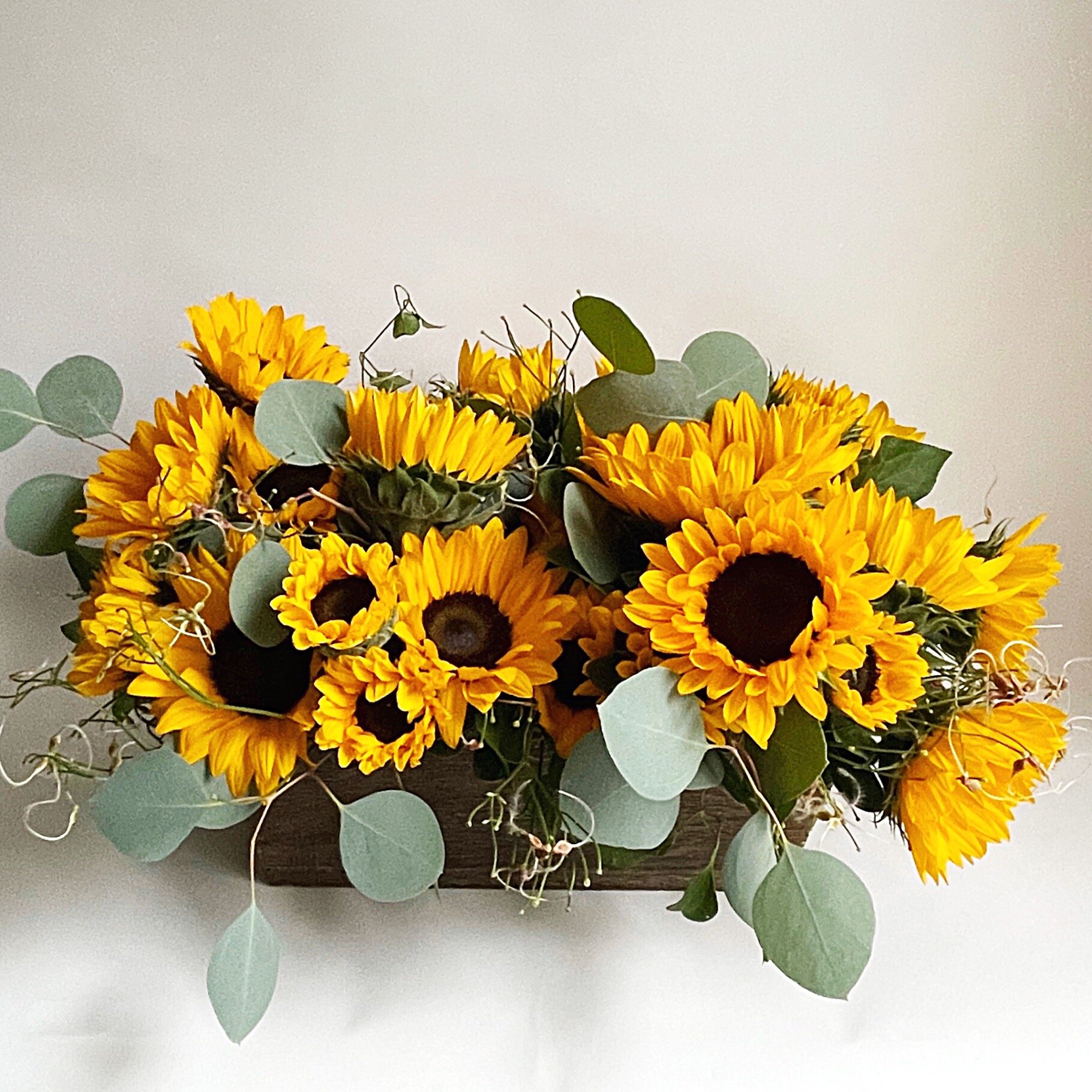 Sunflower Favorite - Atelier Ashley