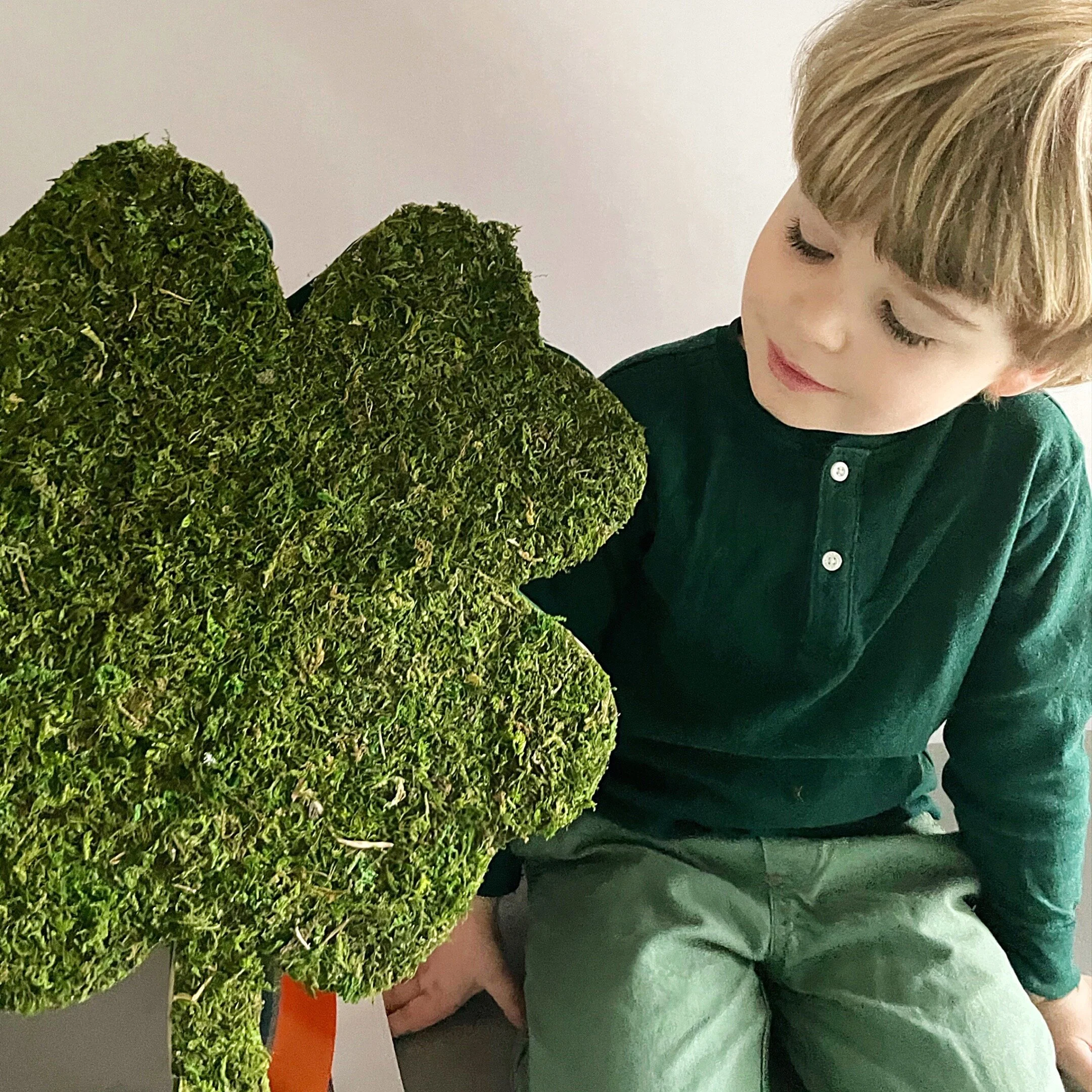 Moss Shamrock