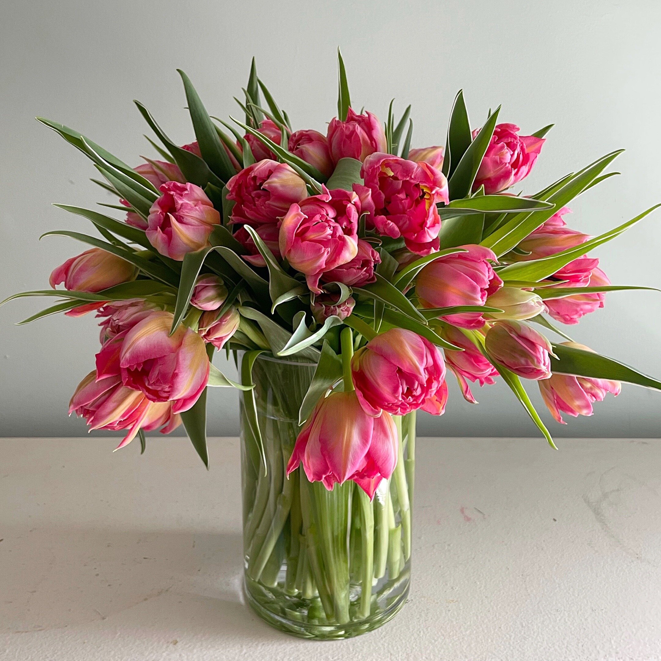 Impressive Tulips - Atelier Ashley