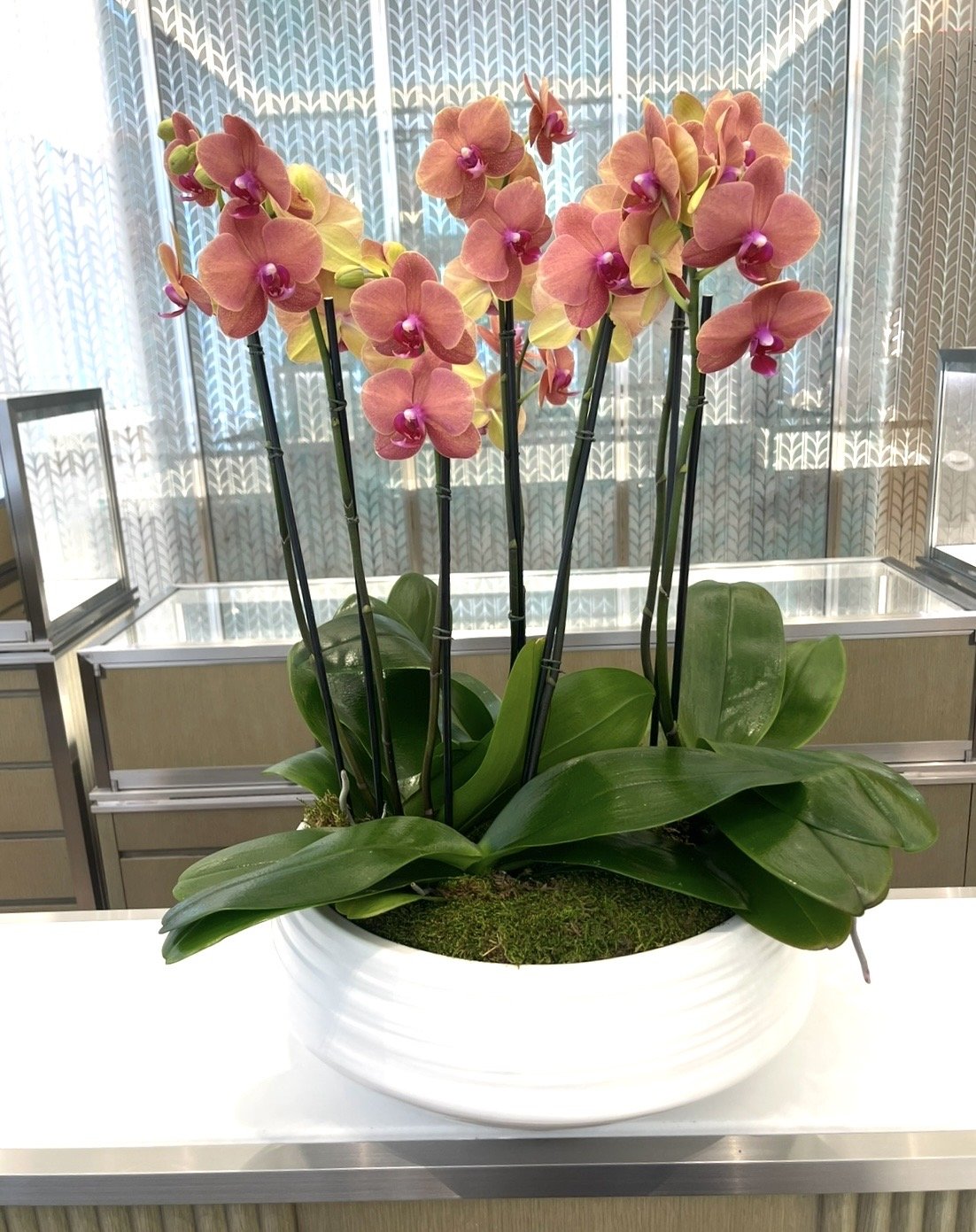 Corporate Orchid Arrangement City Center Tiffanys.jpg