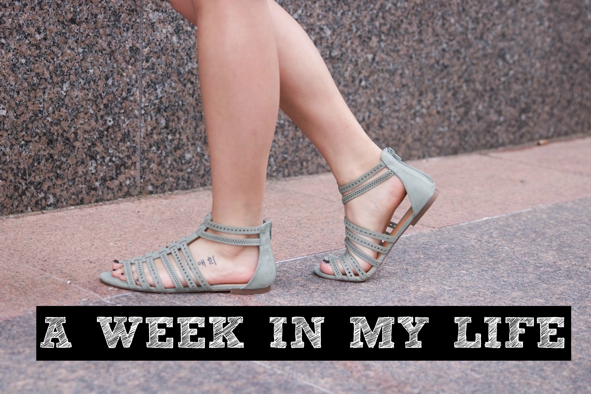 A Typical Week In The Life Of A Blogger