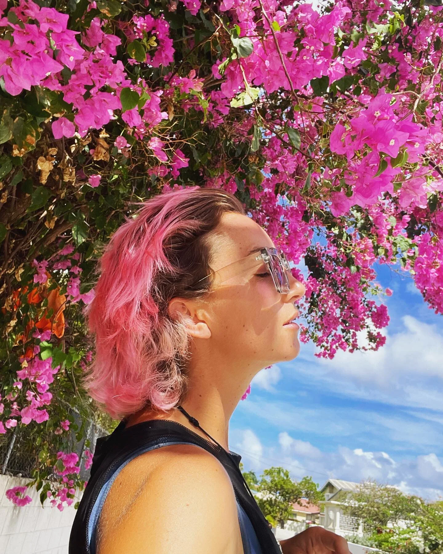 Nothing was the same (bougainvillea edition) 💗