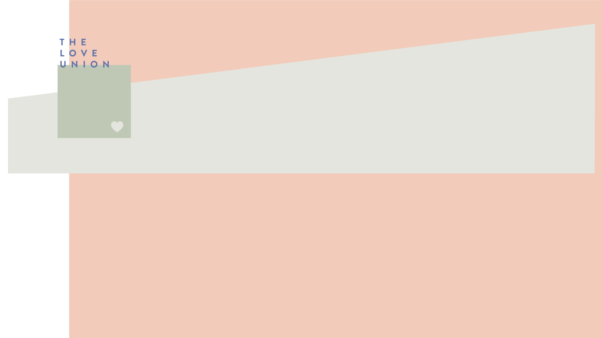 TLU_WEBTEST.png
