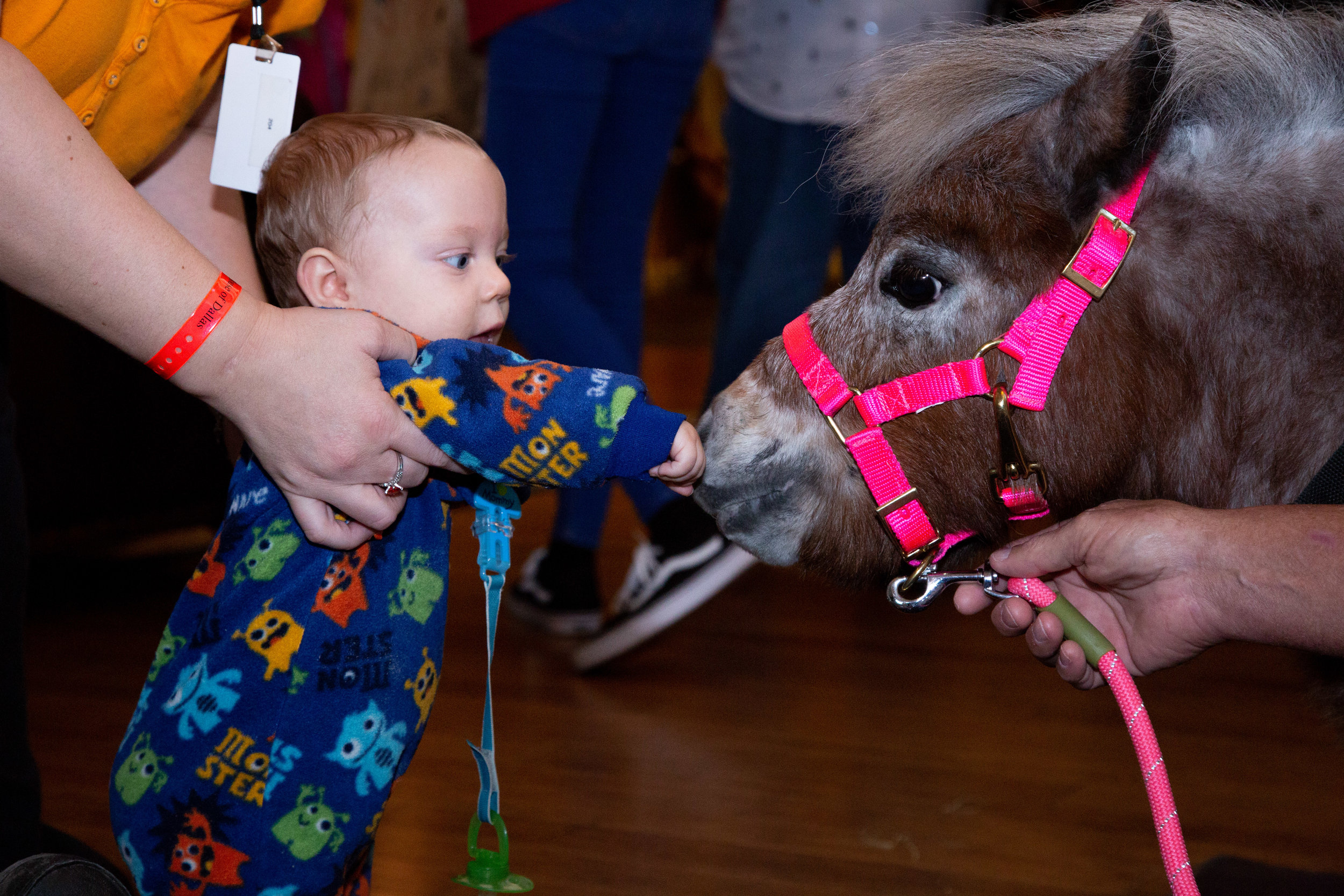 Baby Robert pets Hope at Ronald McDonald House of Dallas.