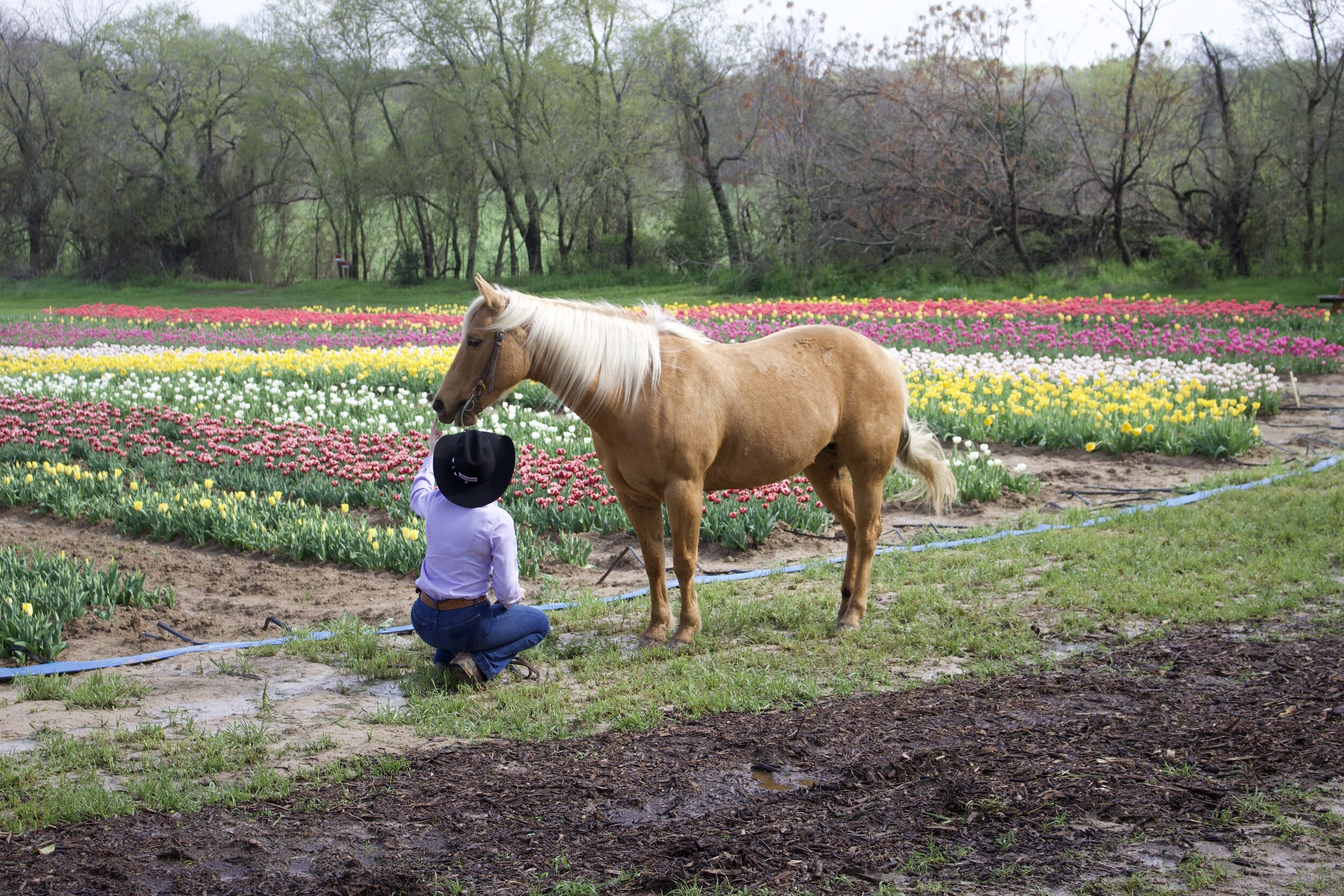  Kristy was also photographing a Maypearl student with her horse. 