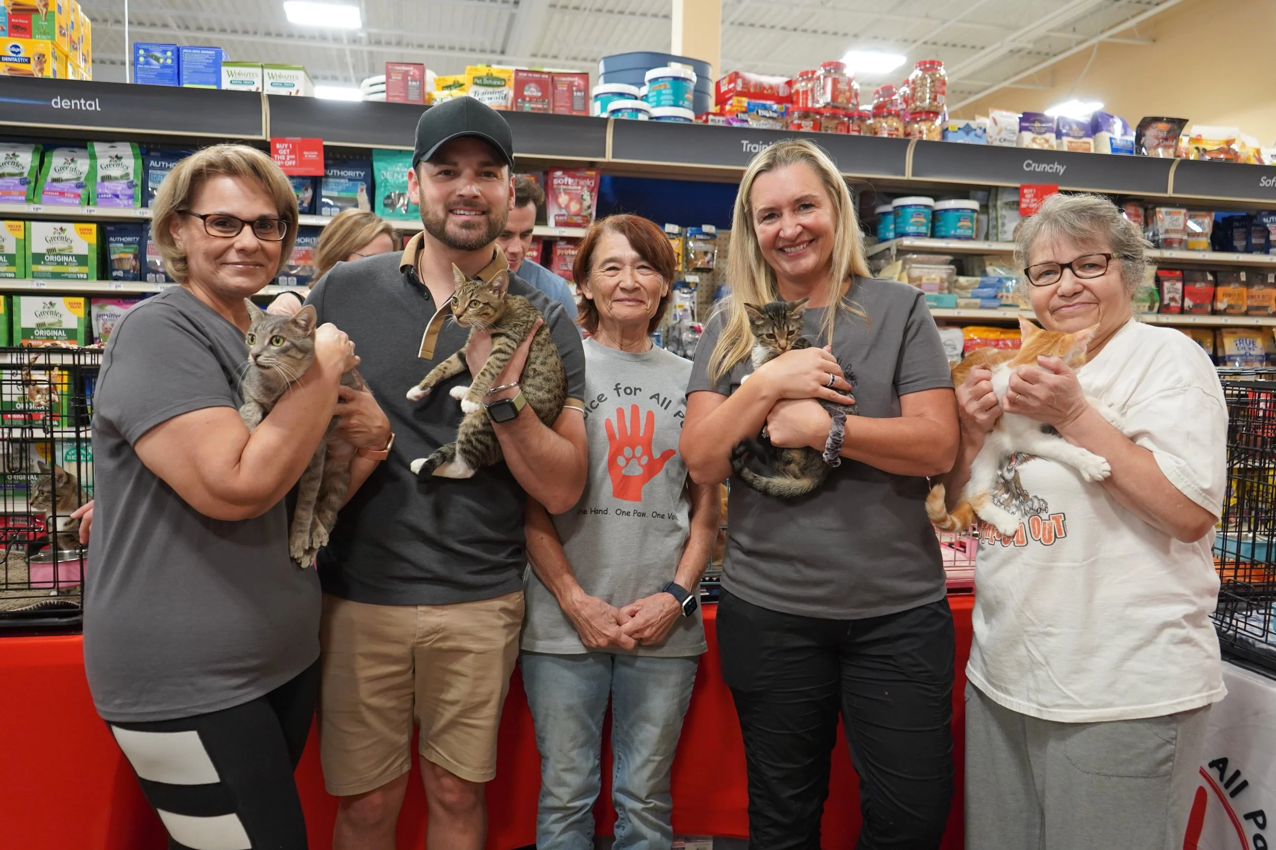 Giving Kittens Hope: A Voice for All Paws | Dallas Doing Good