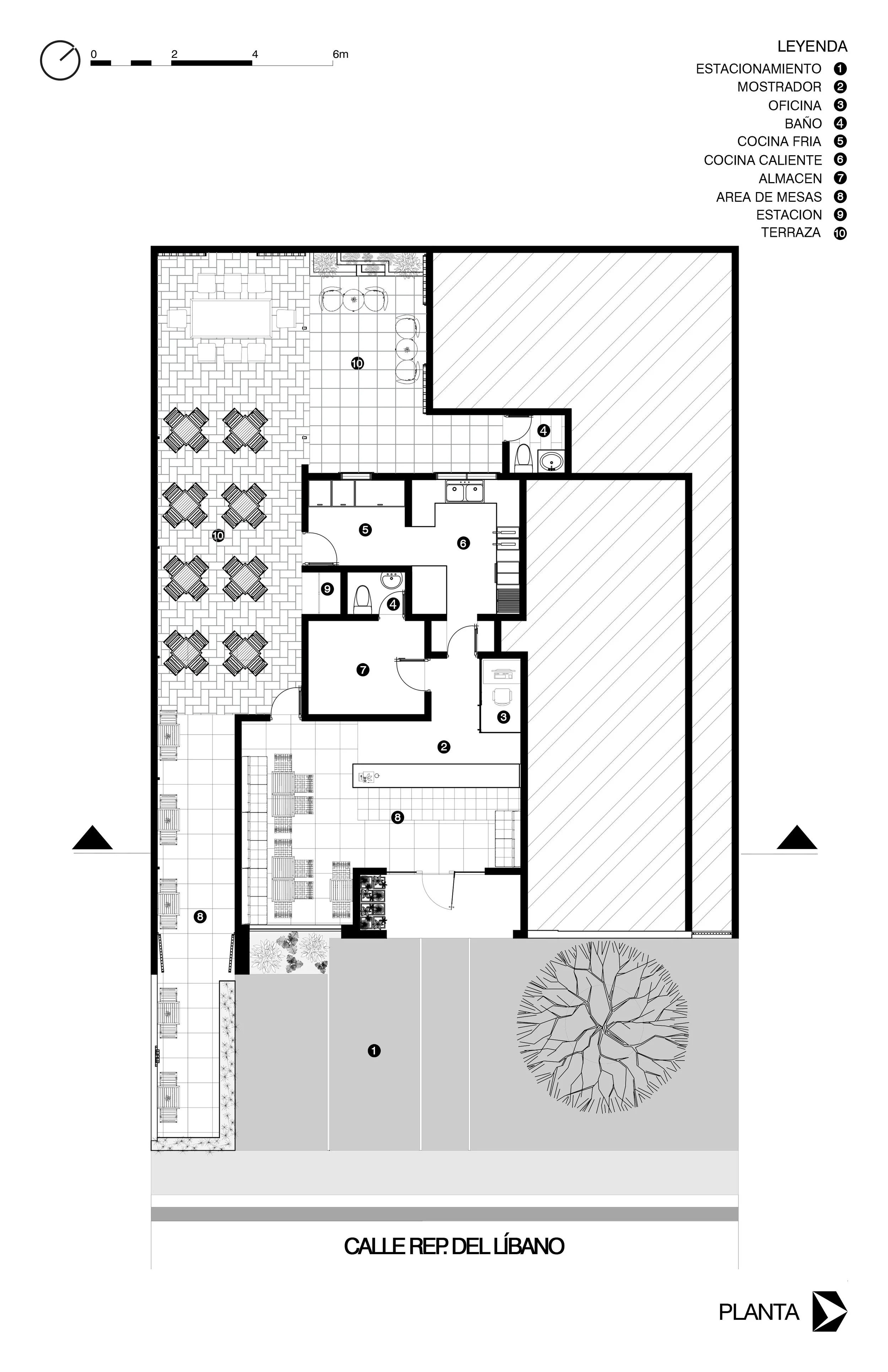 PLANTA.jpg