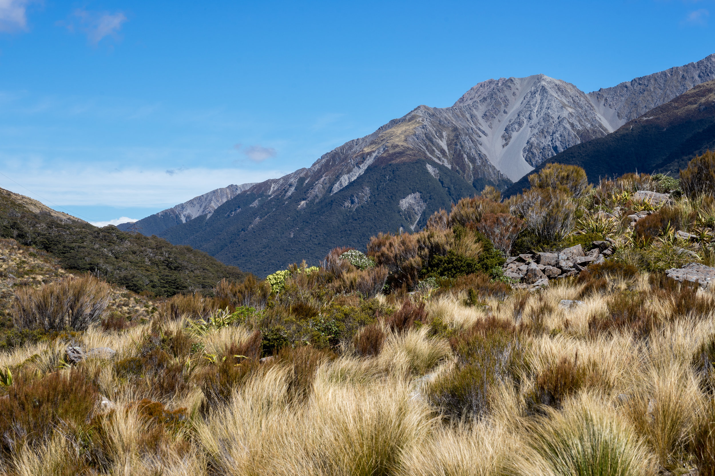 Sub-Alpine Heath nature walk up and down hills.