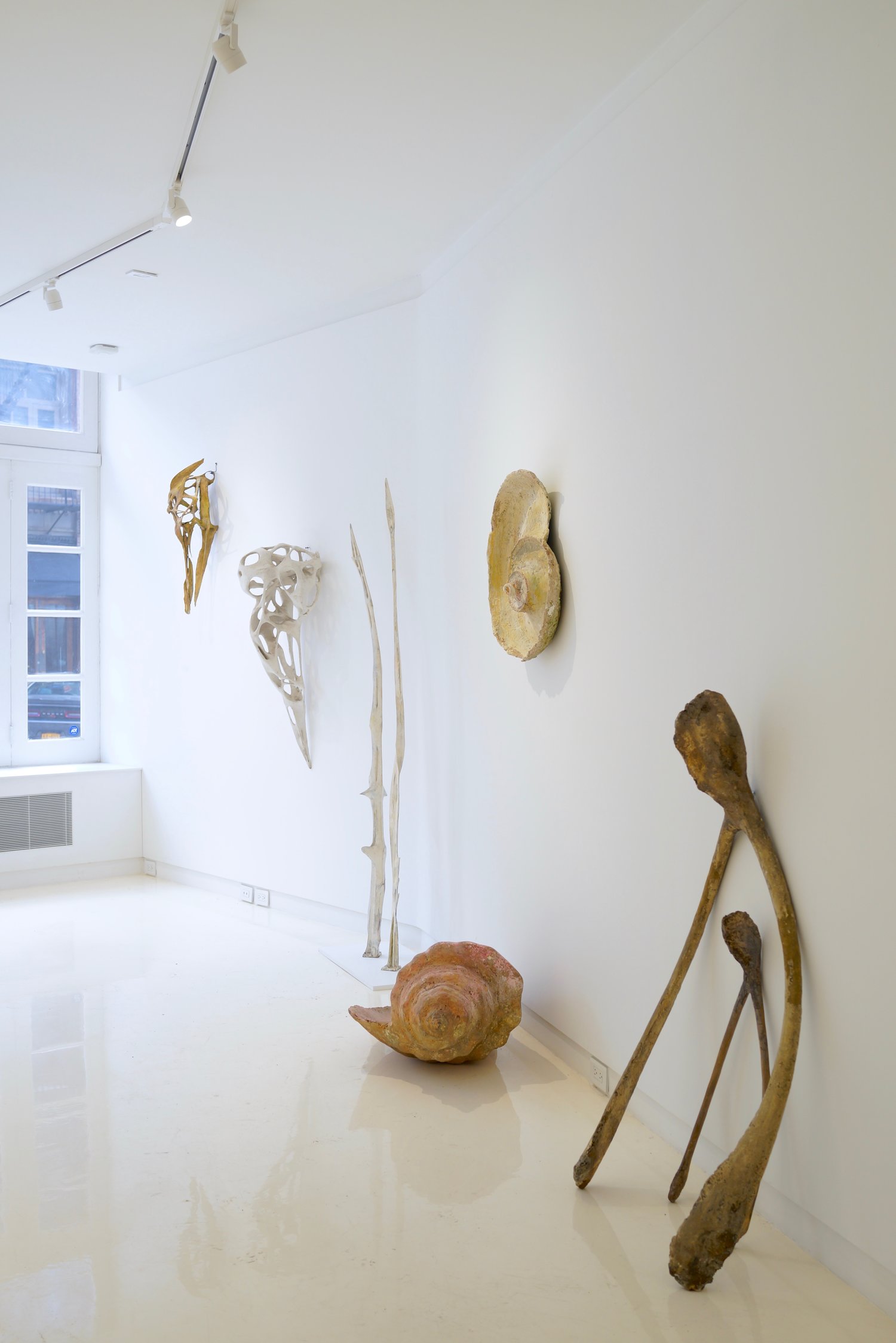 Sculptures in a 2019 show titled Beyond Nature at NYC Tribeca gallery. There's some bird skull-like works, a giant seashell, and pair of giant wishbones.