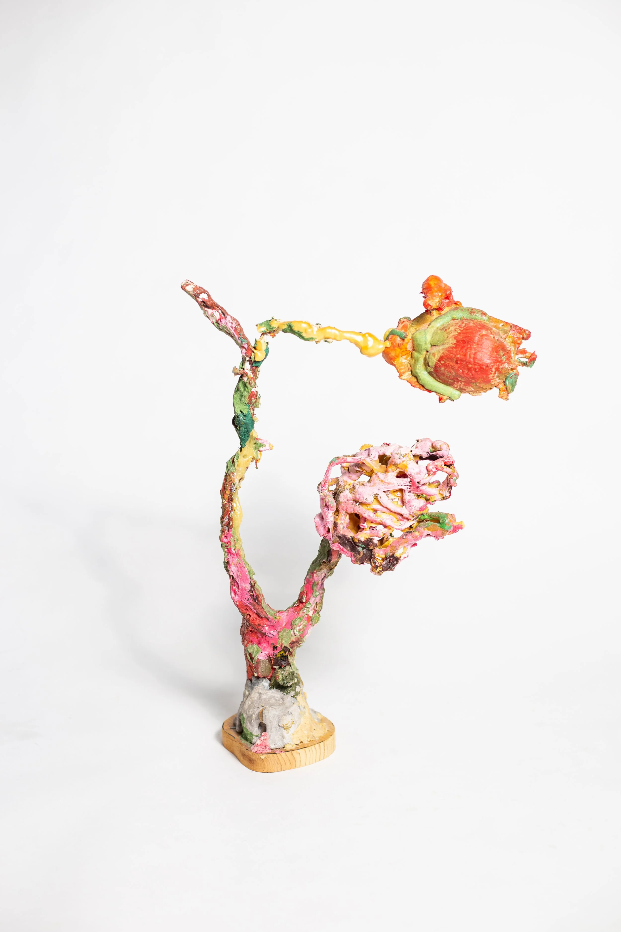 Foam Flower