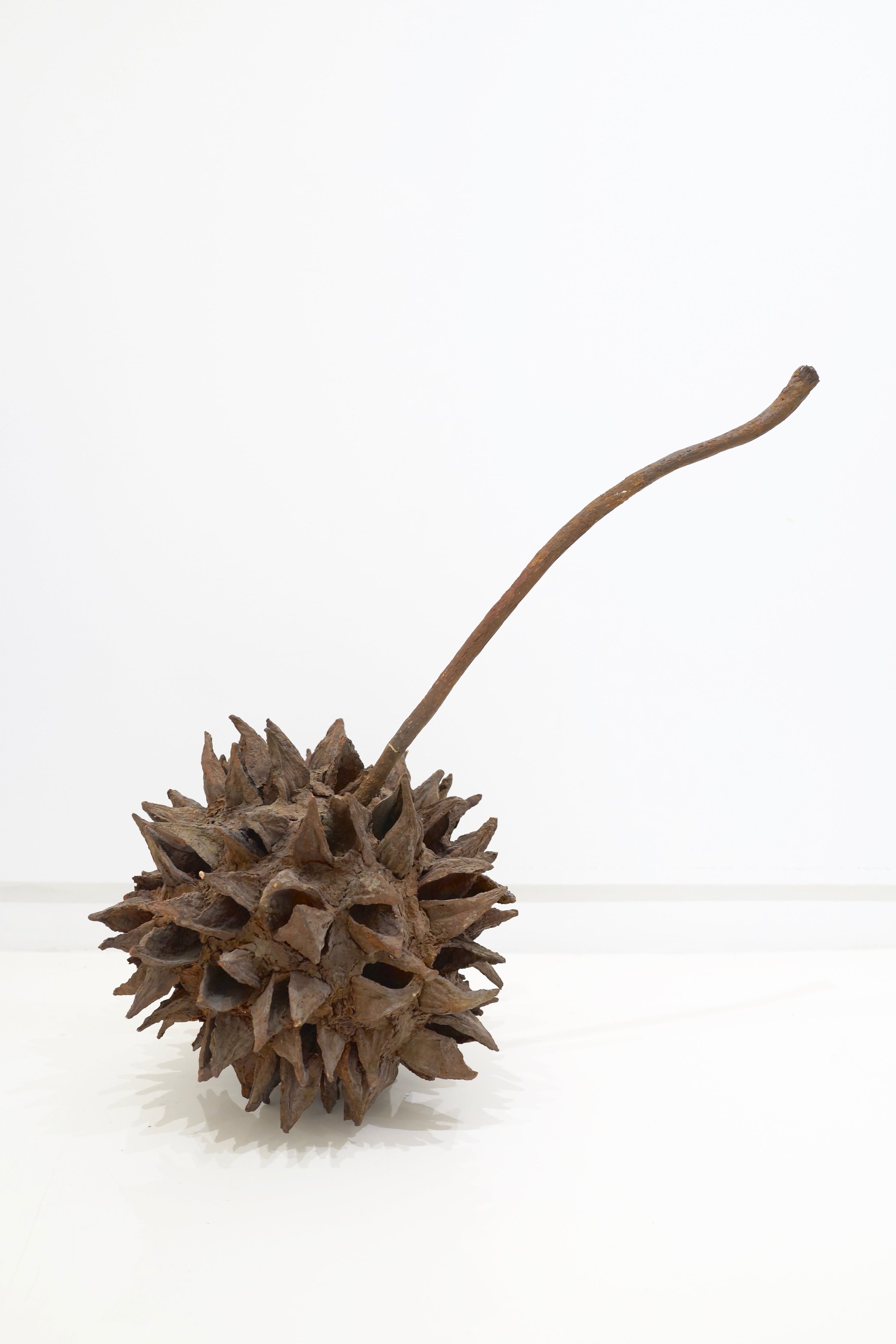 Copy of t6h0ufPA.jpg