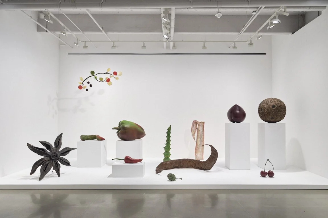 20251106_KURIMANZUTTO_MINGFAY_INSTALL_ZH9525.jpg