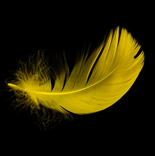 Soft skills are more important for accountants than ever