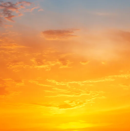 The next generation of finance leaders