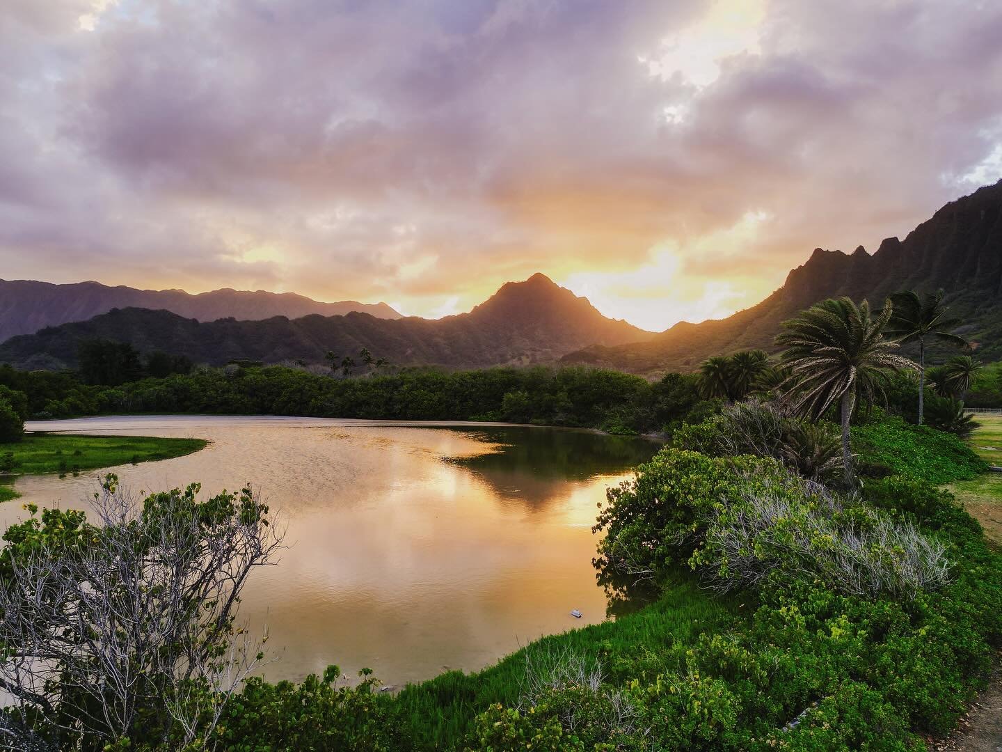 #oahuphotography #oahuphotographer #honolulu #hawaiiphotographer #honoluluphotographer #hawaiifamilyphotographer #oahuvacationphotographer #oahufamilyphotographer #marveloushawaii #honoluluphotographers #Waikikifamilyphotographer #honoluluphotographe