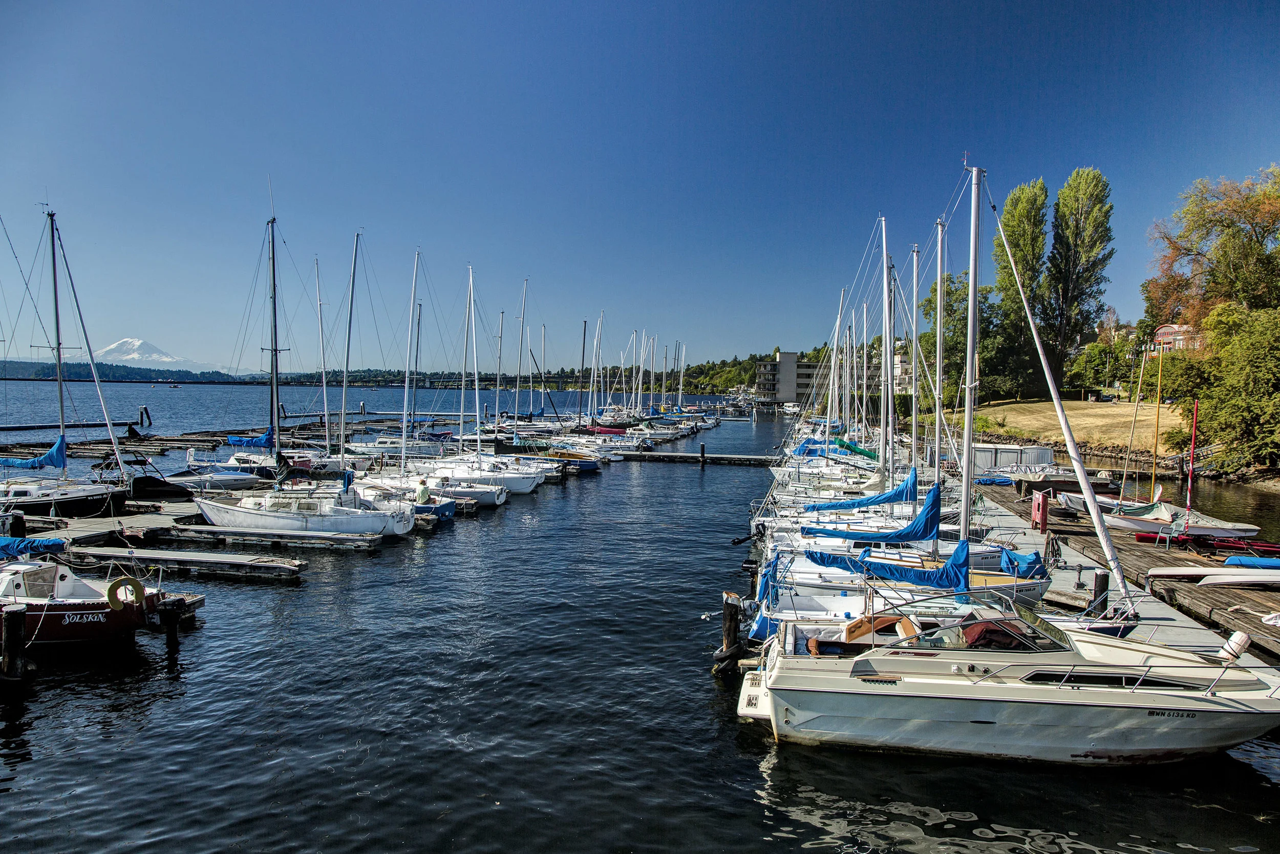 Leschi03.jpg